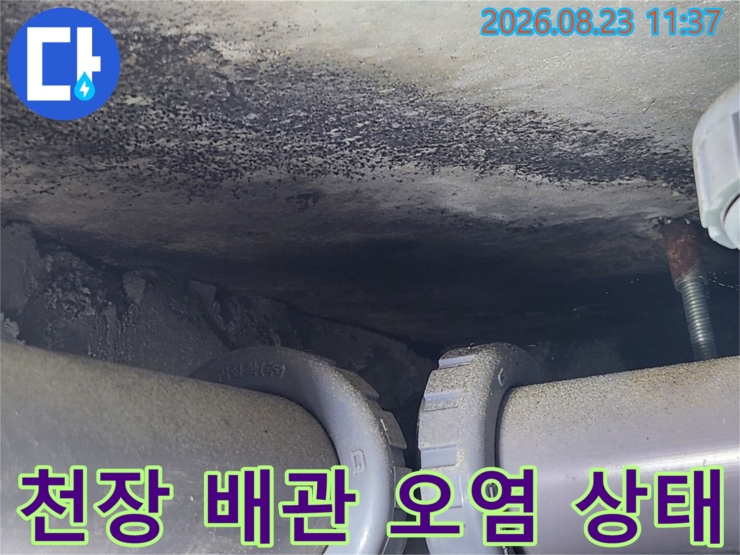 천장 배관 연결 부위의 어두운 물 얼룩과 습기 흔적