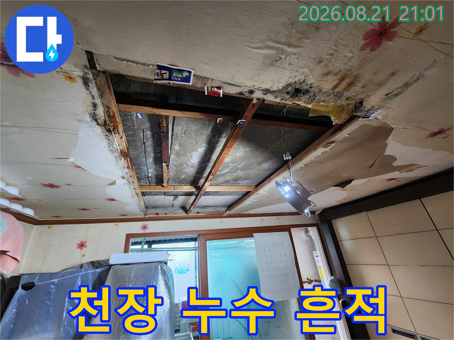 누수로 인해 오염된 천장 벽지 및 곰팡이 발생 부위