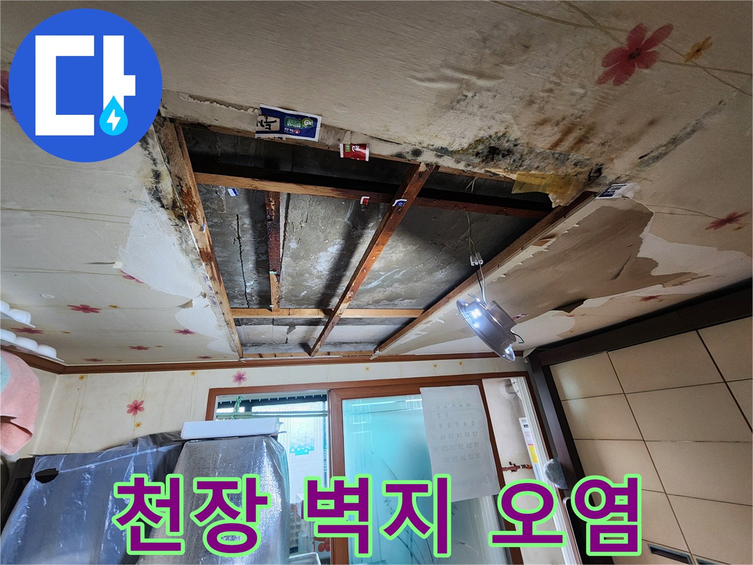 누수로 인해 젖고 변색된 천장 벽지와 곰팡이 발생 부위