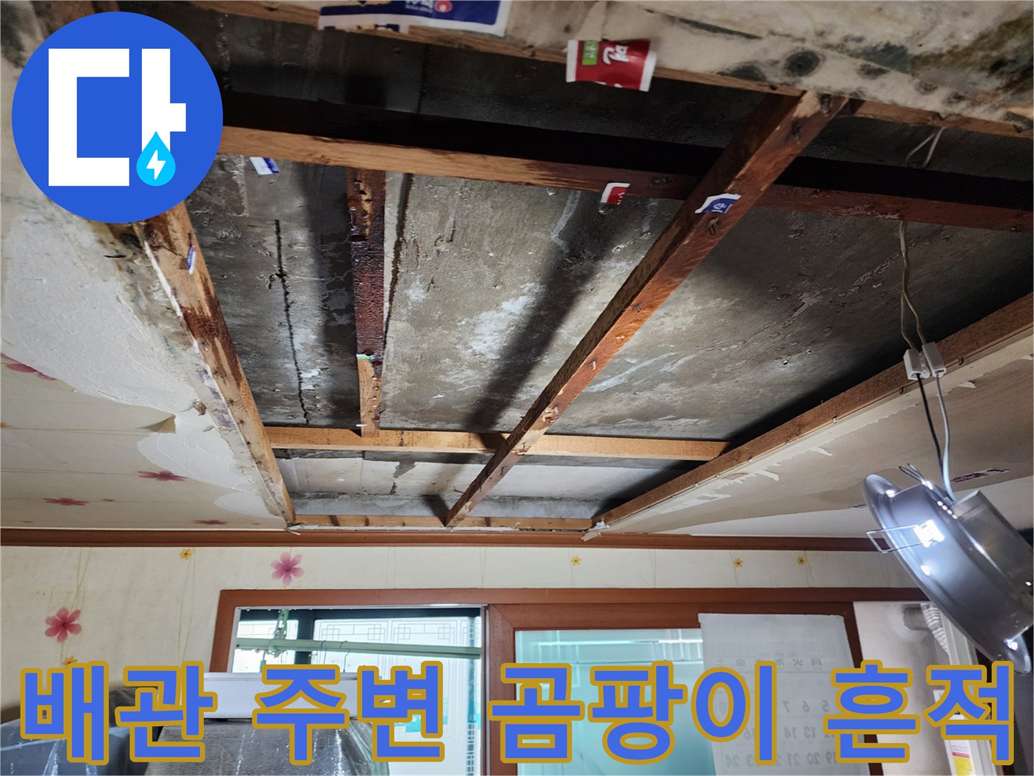 천장 점검구 내부-배관 근처의 습기 및 곰팡이 오염