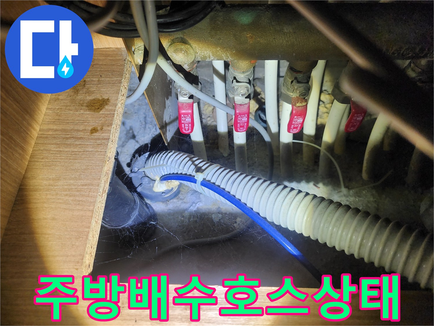 싱크대 하단 밸브와 파란색 배수 호스 주변의 오염 상태