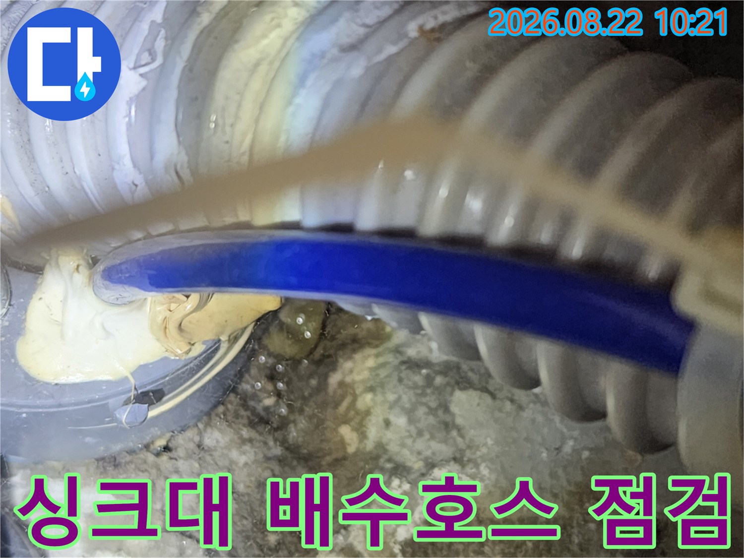 파란색 싱크대 배수 호스와 주름관 연결 부위의 상태를 확인하는 모습입니다.