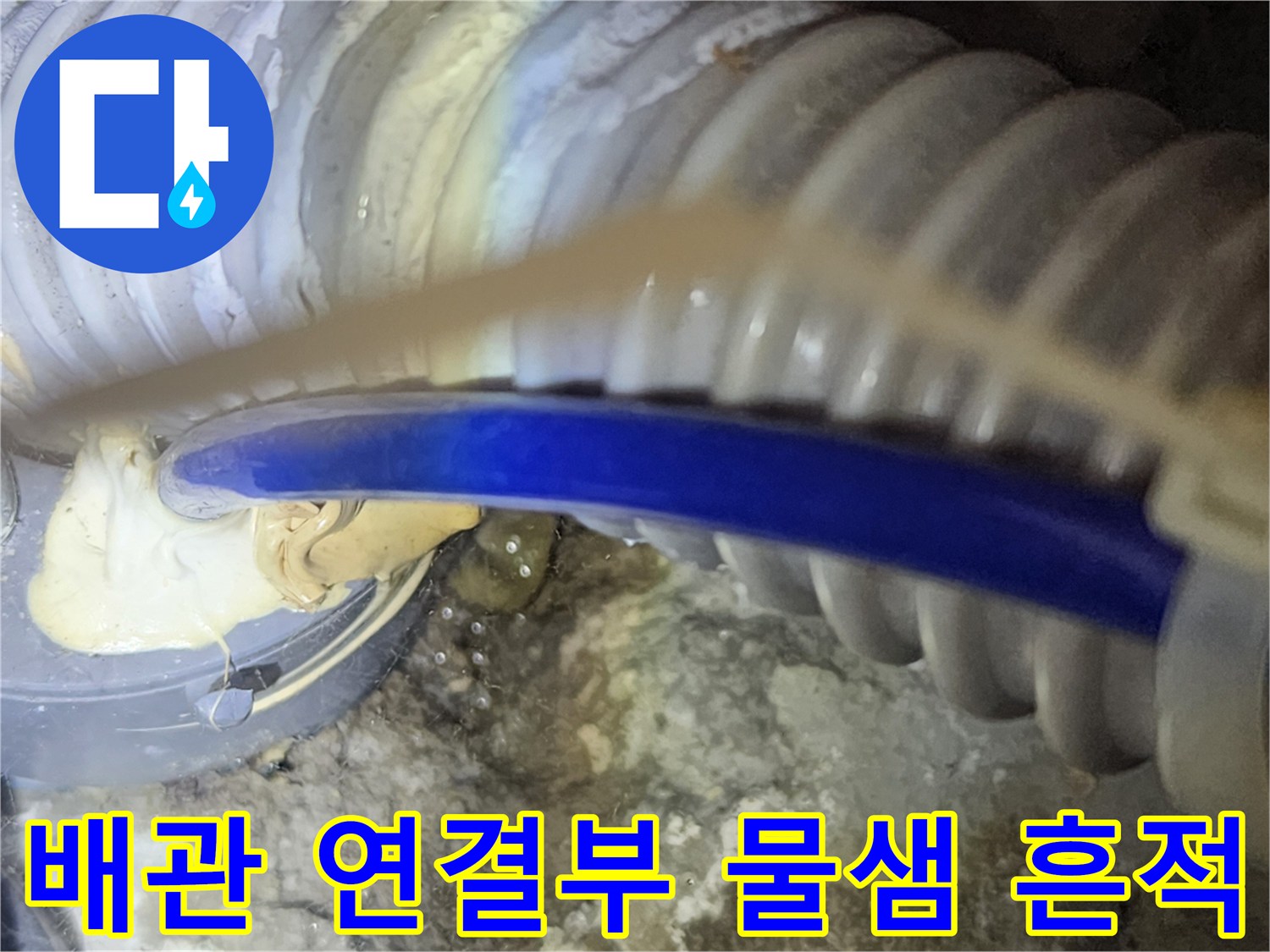파란색-호스와-회색-주름관-사이-누수-오염-상태