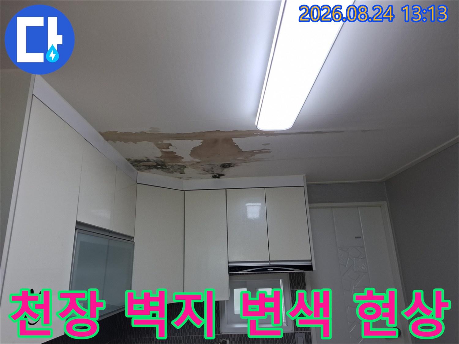 천장 벽지가 물에 젖어 갈색으로 변색되고 곰팡이가 피어 있는 장면입니다.