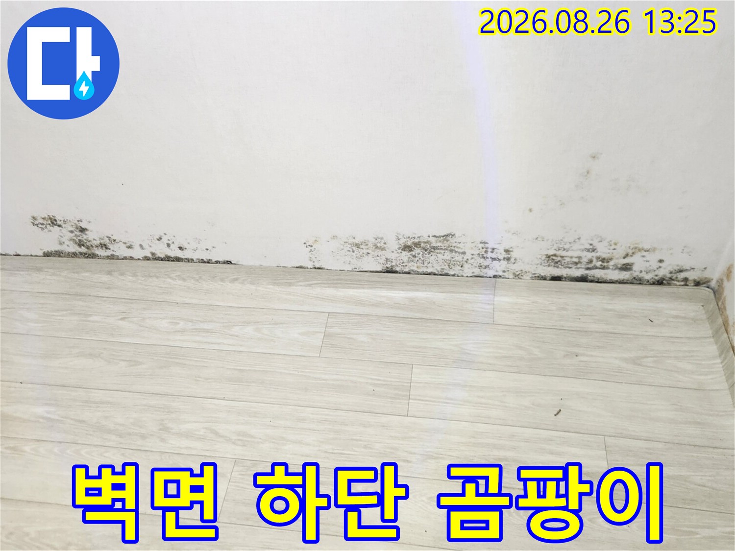 남양주 진접읍 현장-벽지와 바닥 경계 부분에 발생한 검은 곰팡이 상태