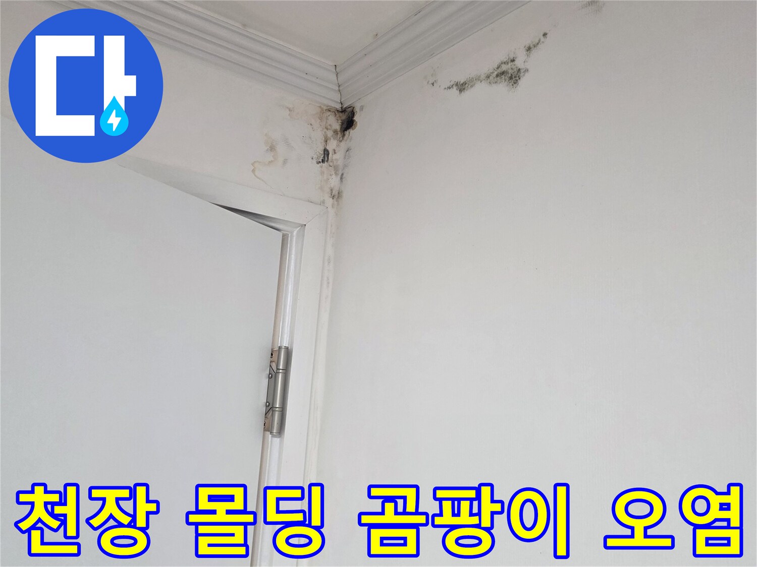 천장 몰딩 부근에 번진 검은색 곰팡이와 습기 자국