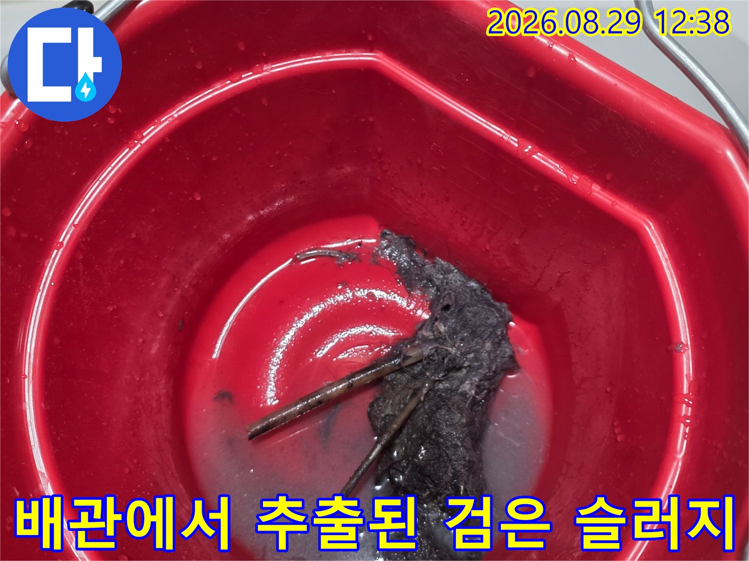 배관 청소 후 양동이에 모인 검게 변한 배수구 슬러지 덩어리