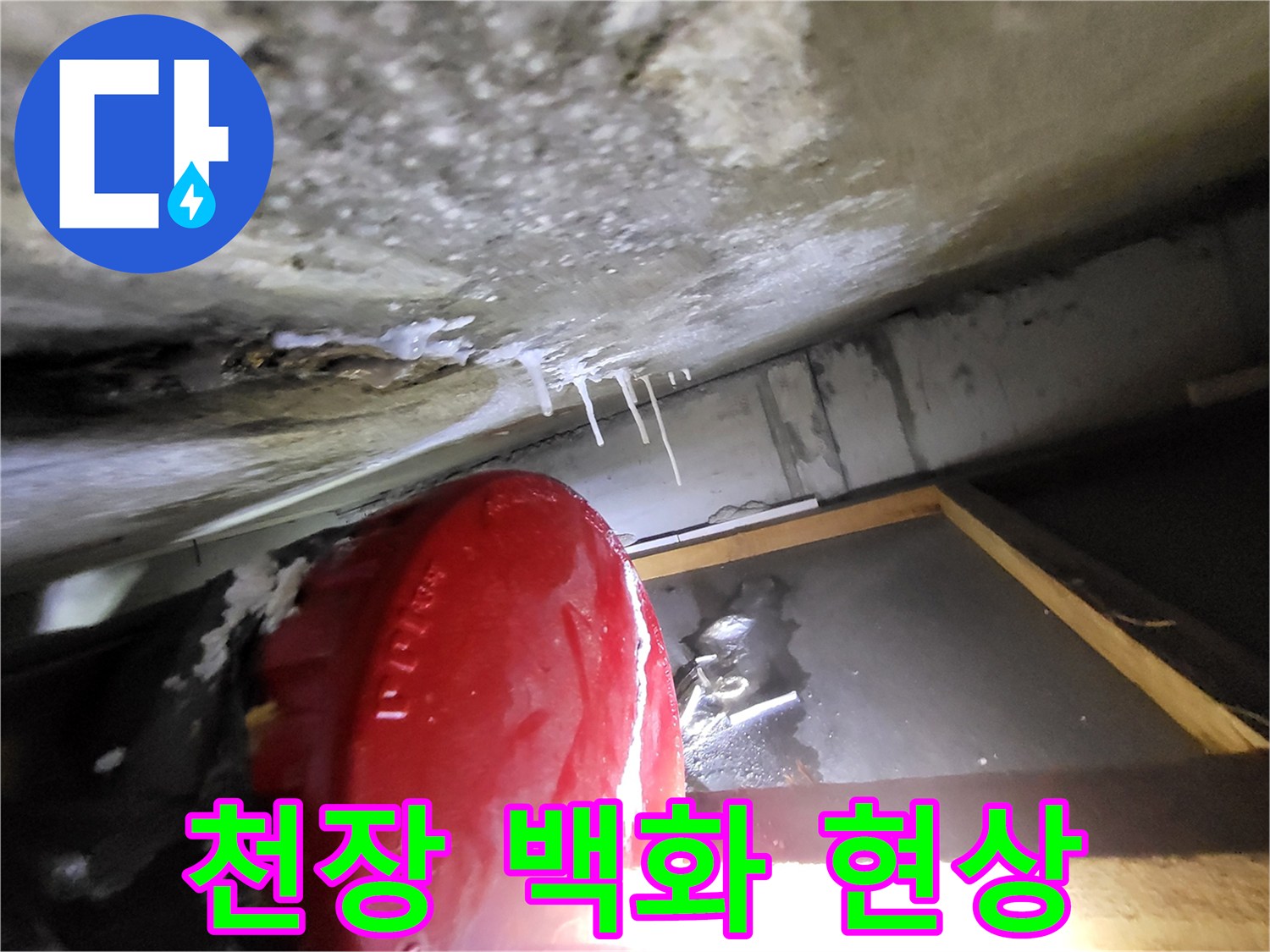 콘크리트 슬래브-백화현상-발생-모습