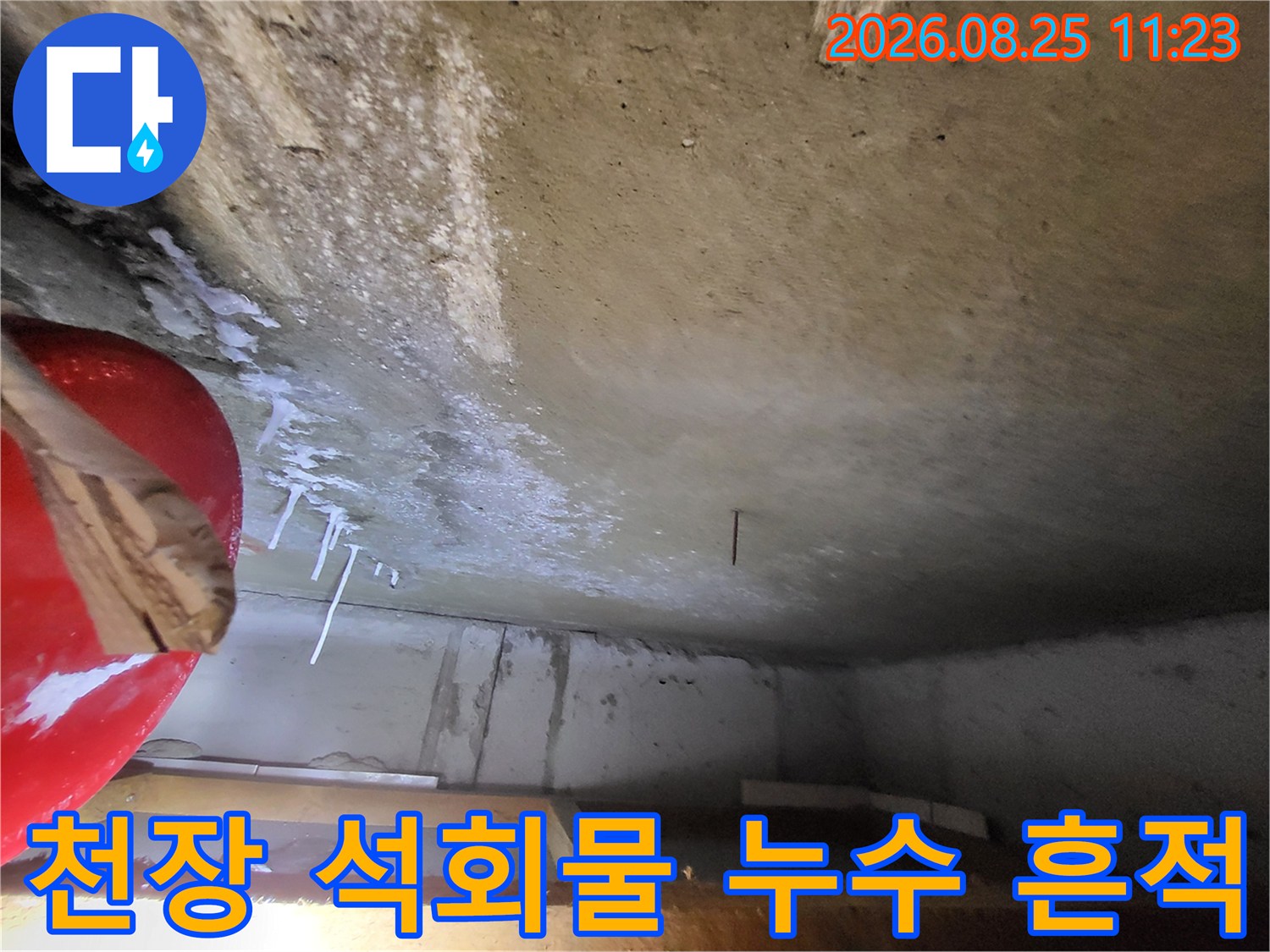 콘크리트 천장 표면에 맺힌 하얀 석회물과 누수 자국