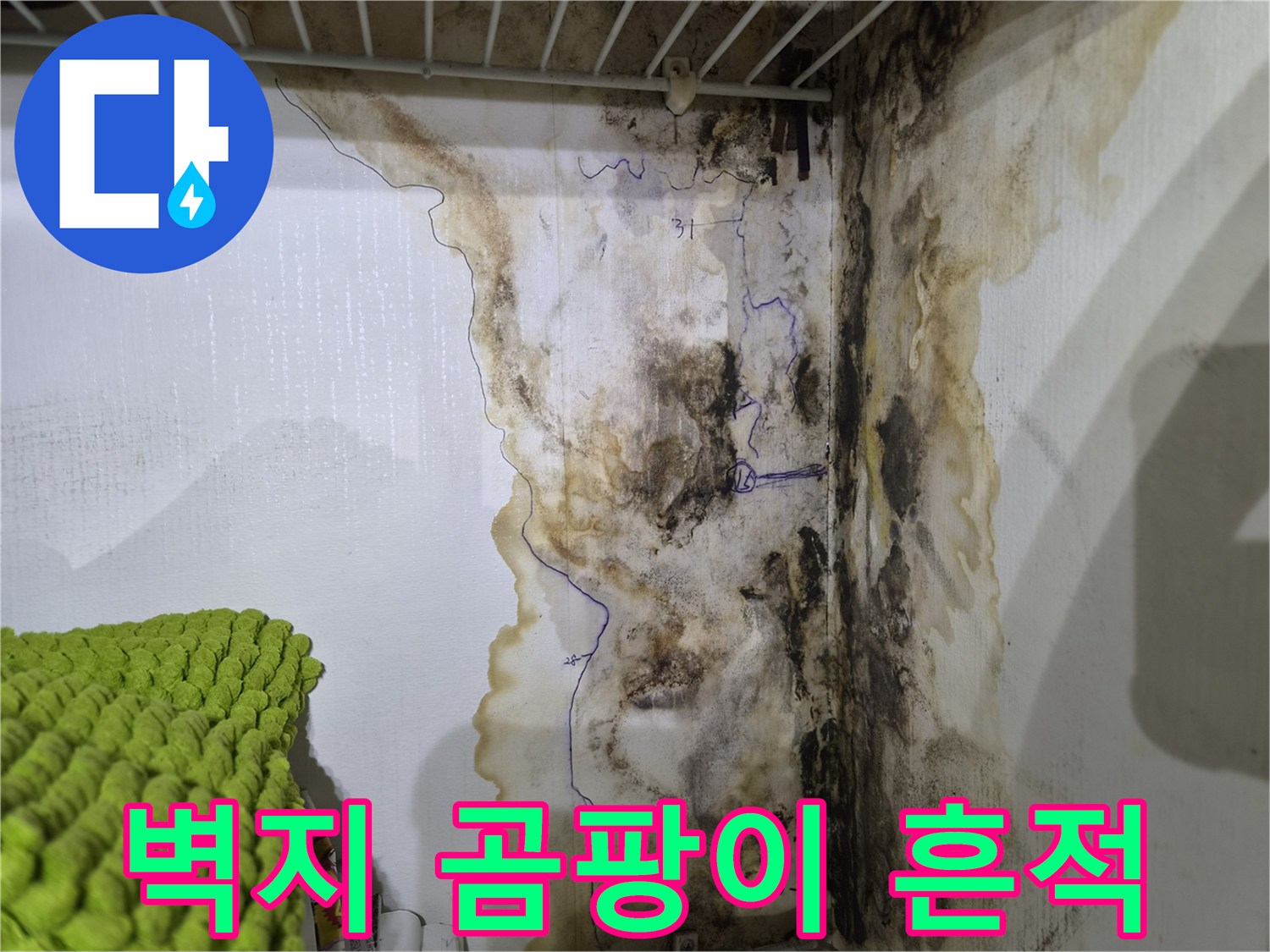 구로구 오류동 현장의 벽면 곰팡이와 습기 번짐 상태