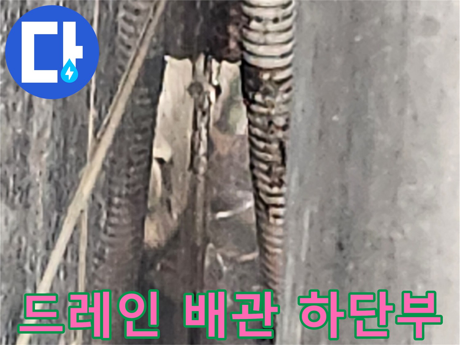 배수-관로-끝부분의-아스팔트-층-틈새-확인