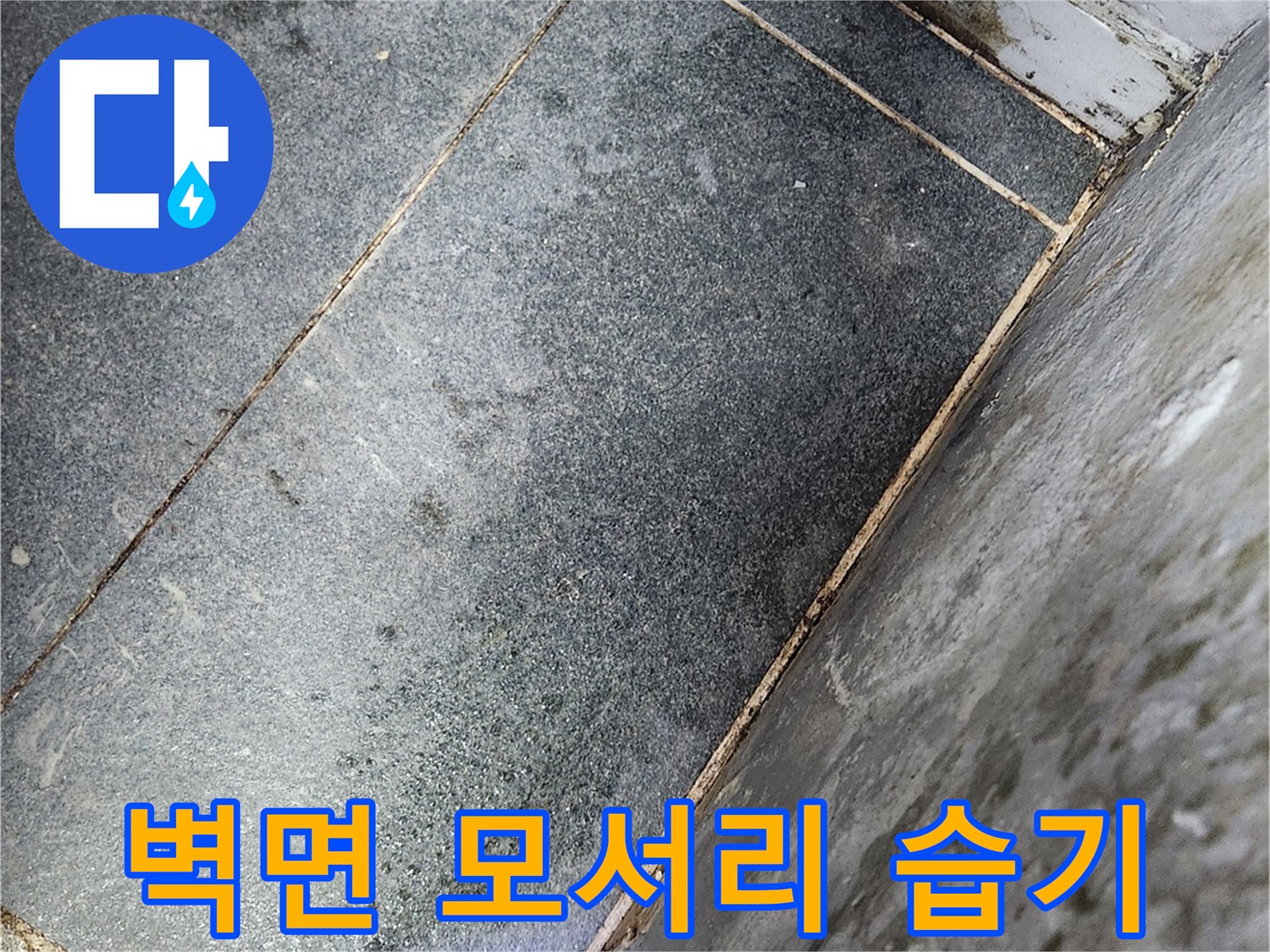 습기로-오염된-타일-모서리-부분