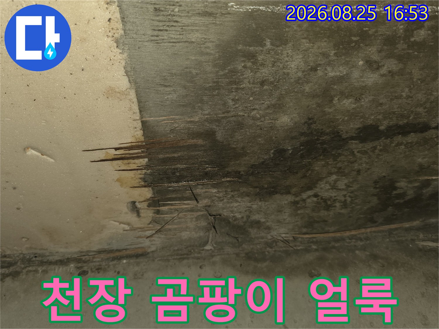구리시 교문동 아파트-주방 천장에 발생한 검은 곰팡이와 물자국 현황