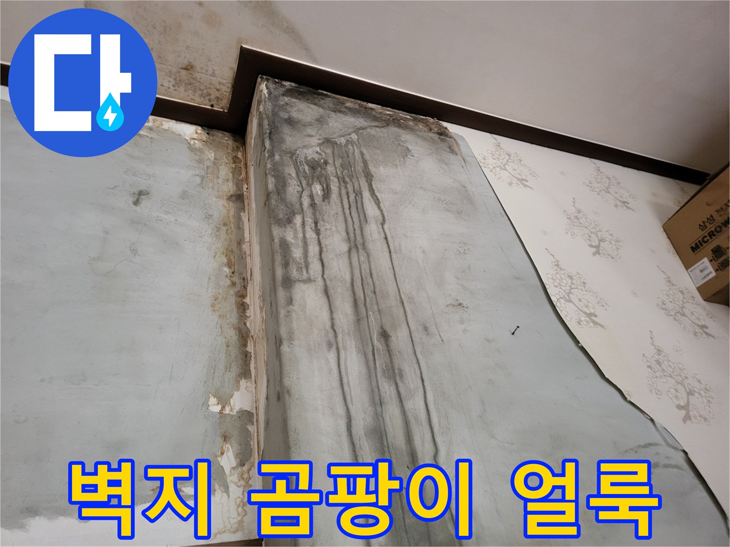 보령시 남포면 주택의 누수로 인해 발생한 벽지 곰팡이와 물자국 상태