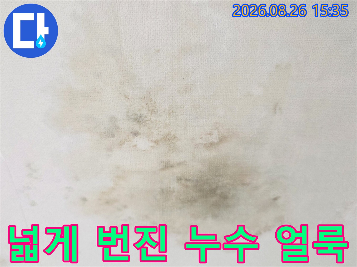 거실 천장에 넓게 분포된 어두운 색상의 누수 및 곰팡이 자국