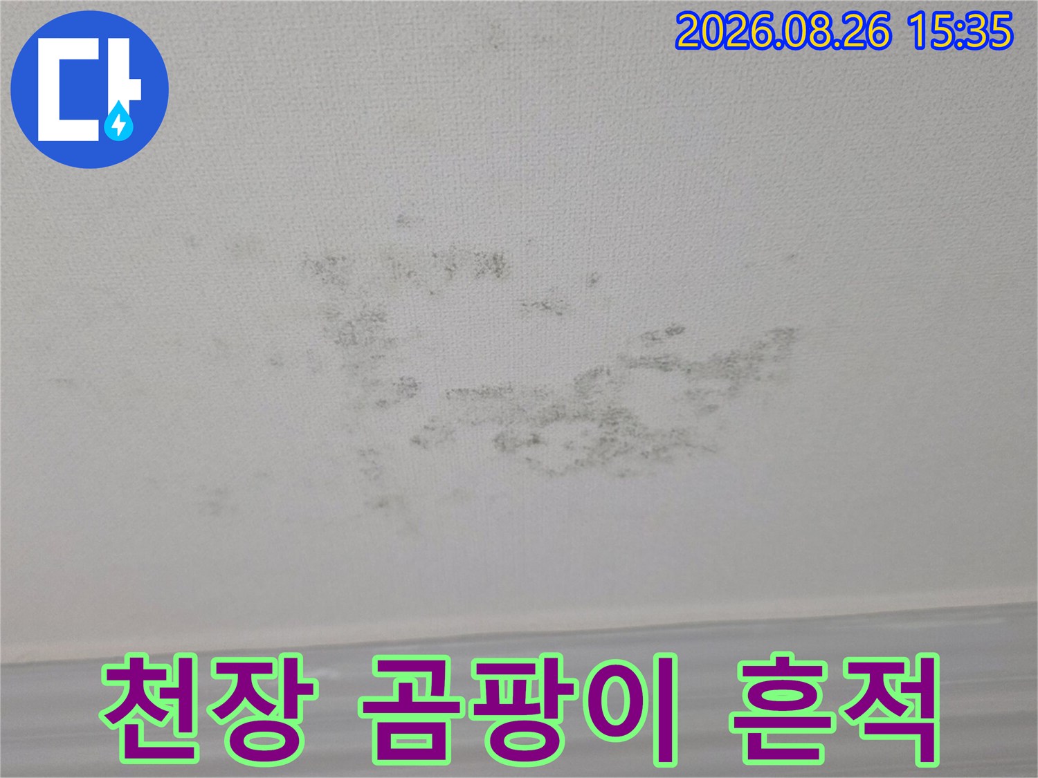 누수로 인해 곰팡이가 발생한 천장 마감 부위
