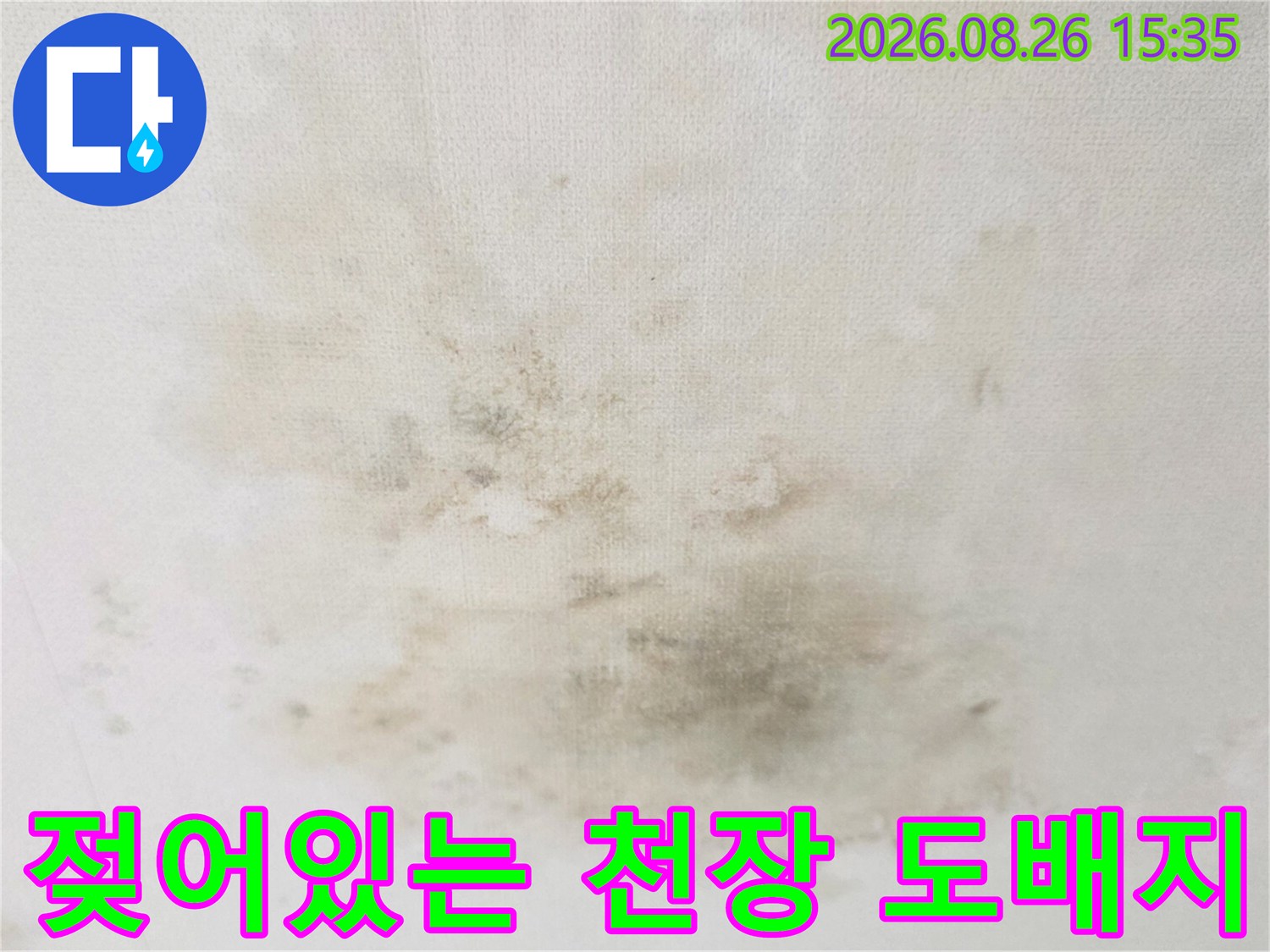 물샘으로 인해 넓게 번진 천장 도배지의 젖은 얼룩과 변색 부위