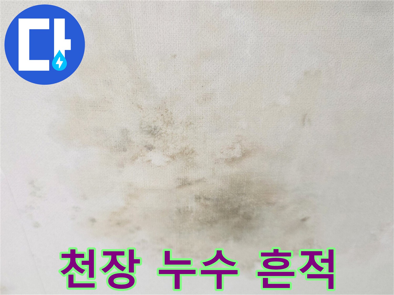 천장-면적을-넓게-덮고있는-누수-및-곰팡이-얼룩
