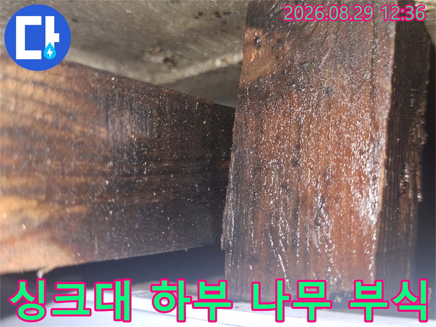 싱크대-하부장-아래쪽-나무-자재의-습기로-인한-변색과-부식-상태