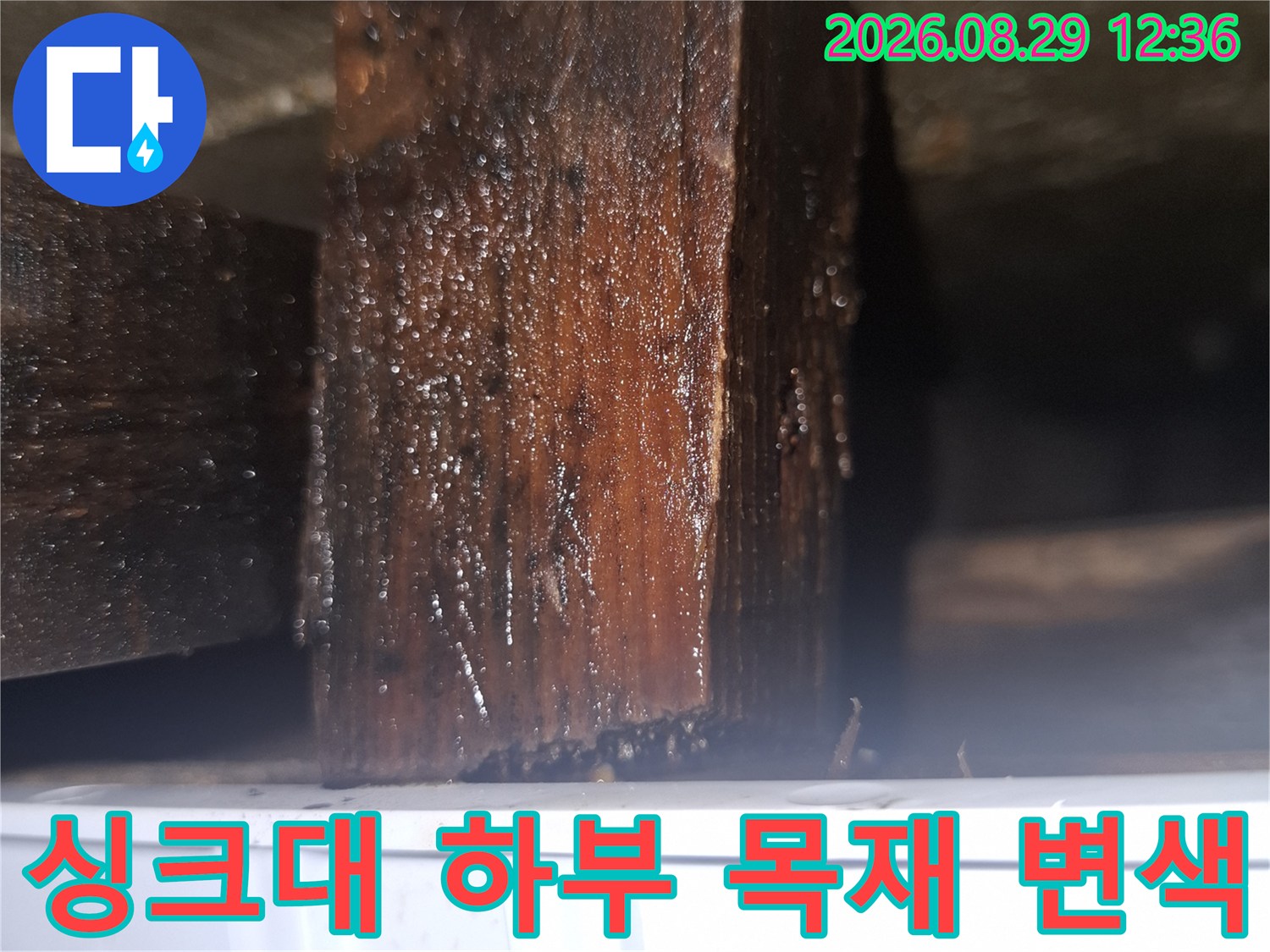 양천구 목동 싱크대 아래쪽 나무 지지대가 습기로 인해 검게 변색된 모습입니다.