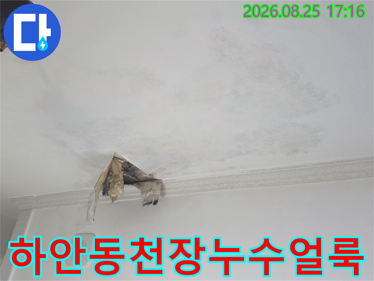 광명 하안동-아랫집 천장에 발생한 광범위한 물 얼룩과 훼손된 마감재 상태