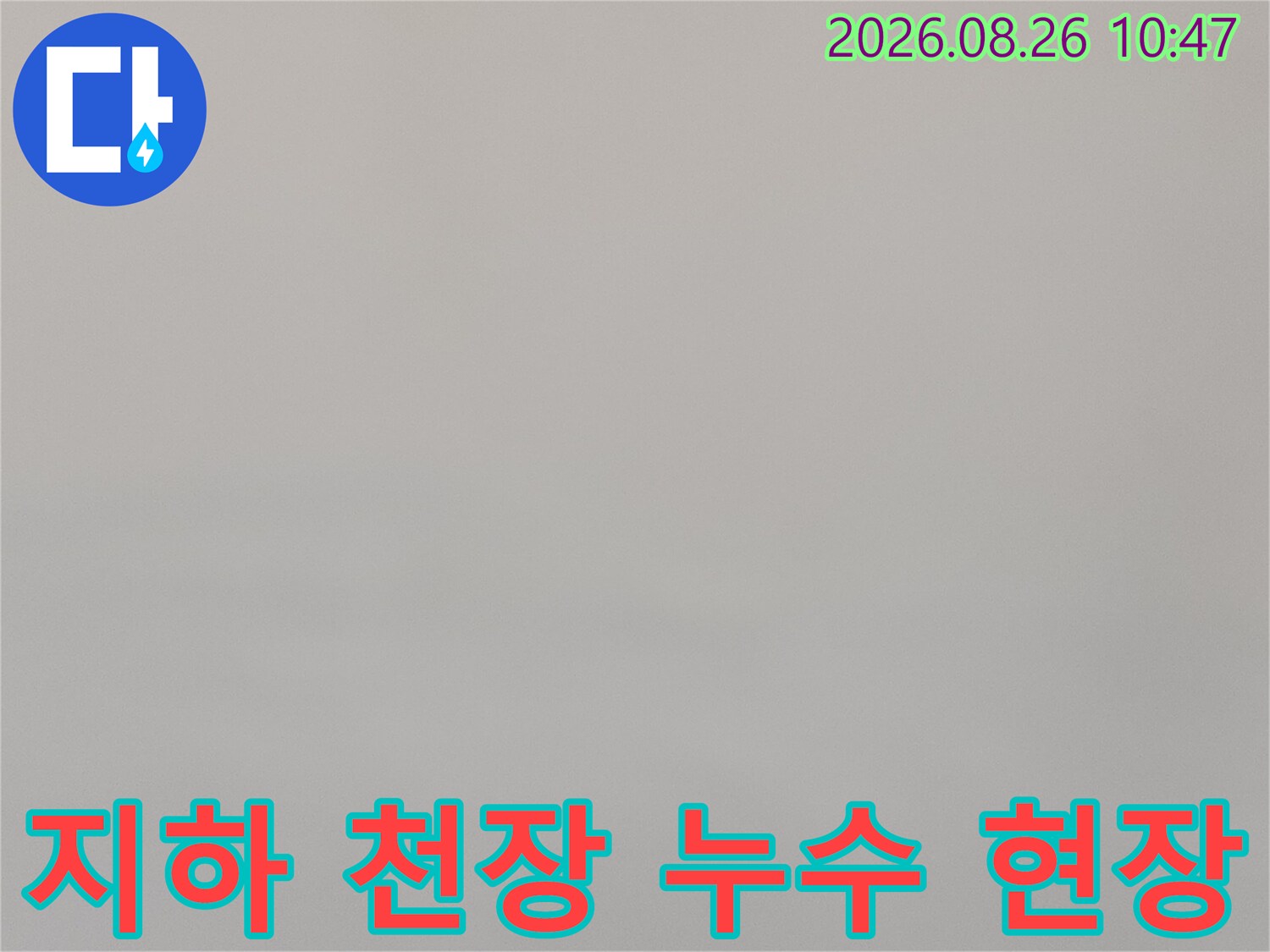 강북구 수유동-상가 건물 지하층 천장 누수 지점 확인 사진