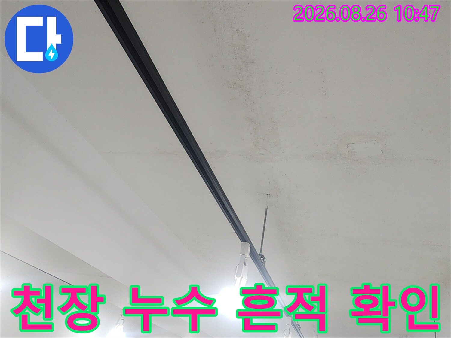 조명 빛에 비친 천장의 누수 얼룩과 젖은 흔적