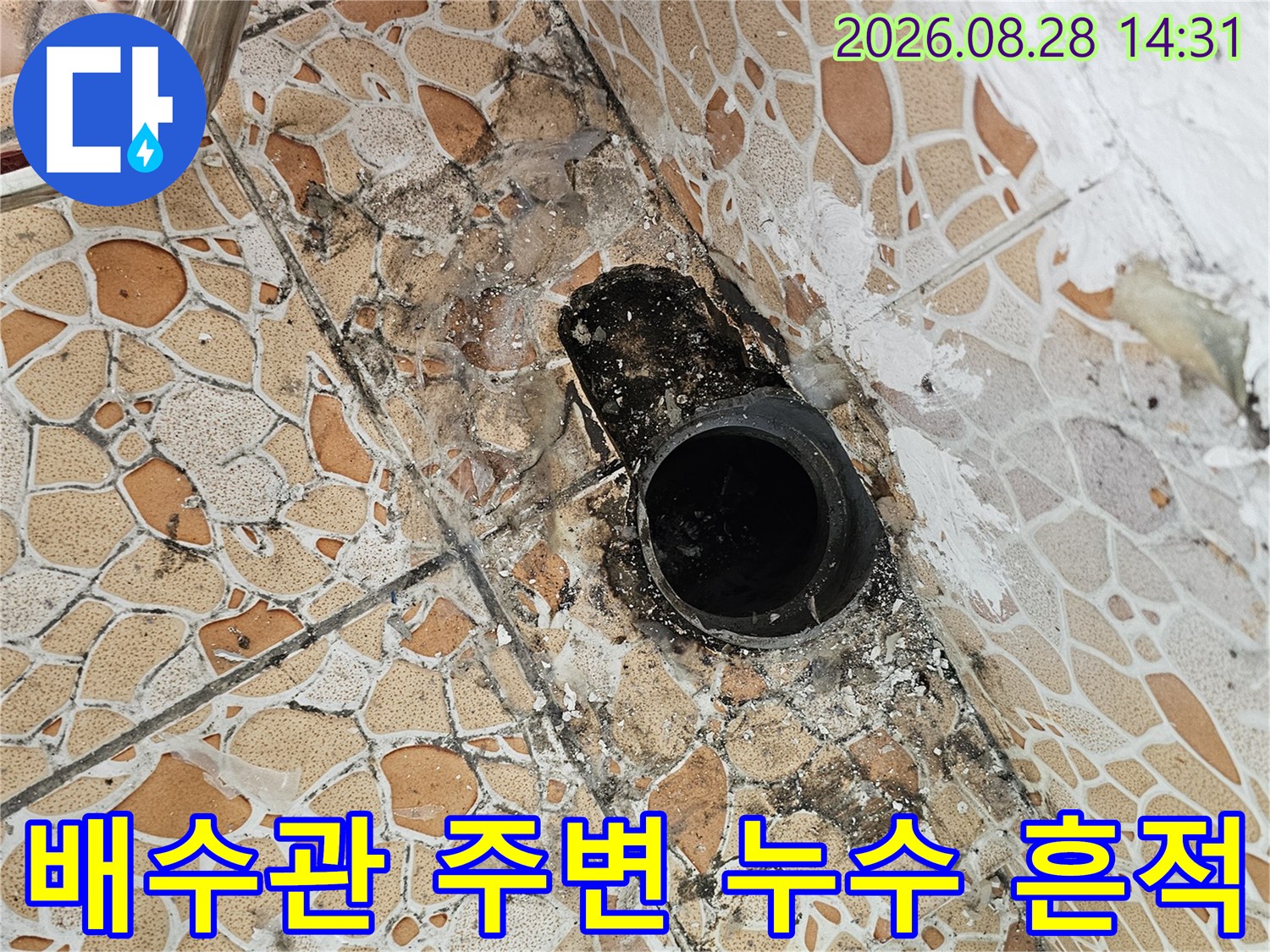 강북구 수유동 빌라 베란다 배수관 주변의 곰팡이와 타일 오염 상태를 보여주는 사진입니다.