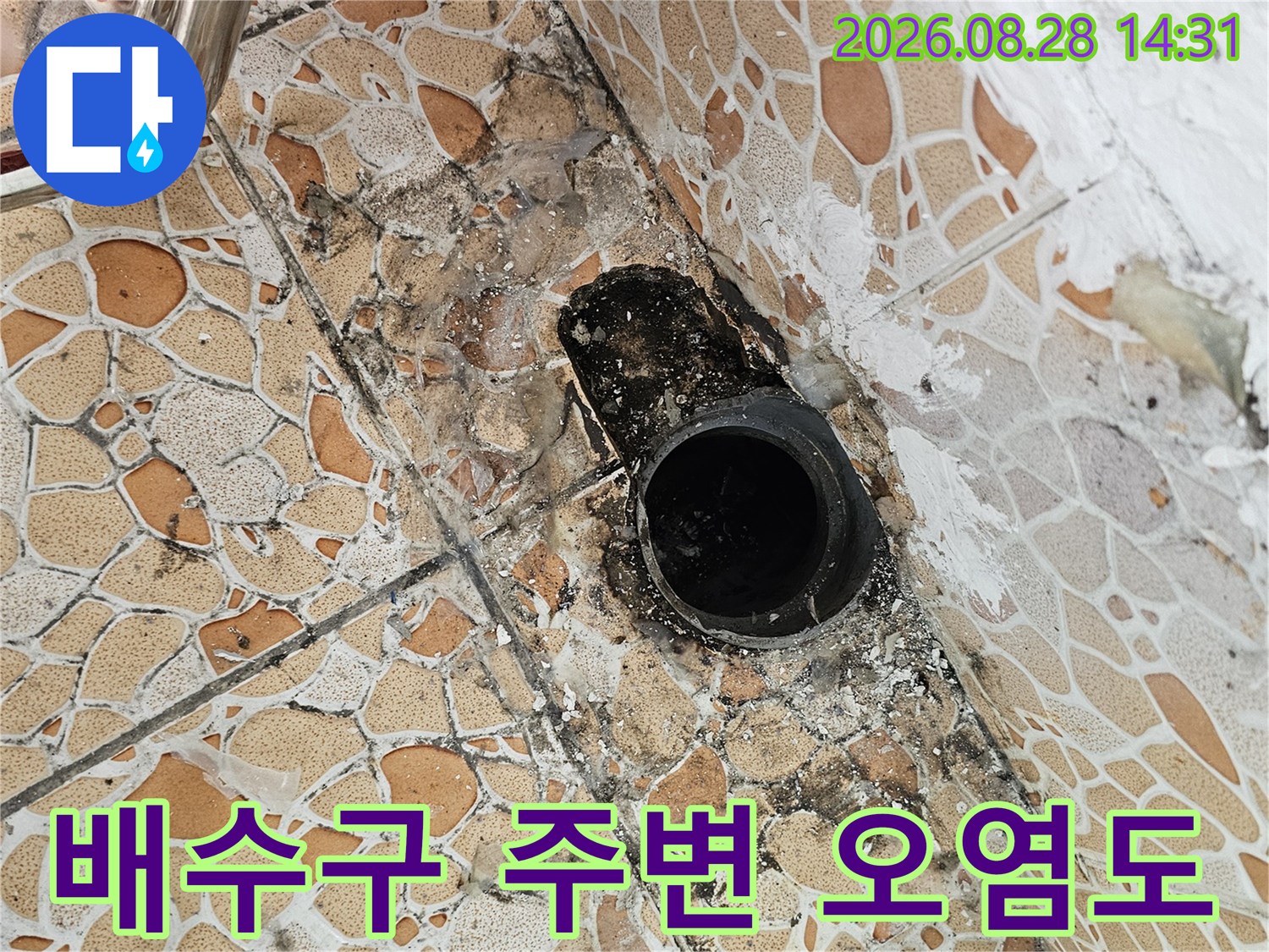 배수구 입구의 검은 곰팡이와 타일 변색을 보여주는 사진입니다.