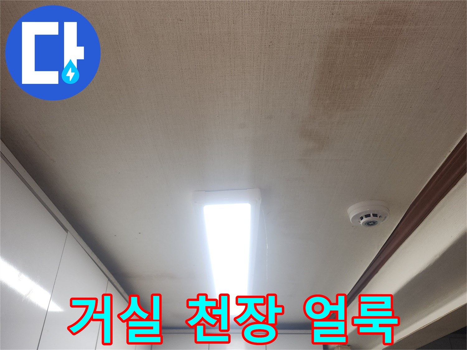 성북구 아파트 거로 천장 벽지 오염 상태를 보여주는 사진입니다.