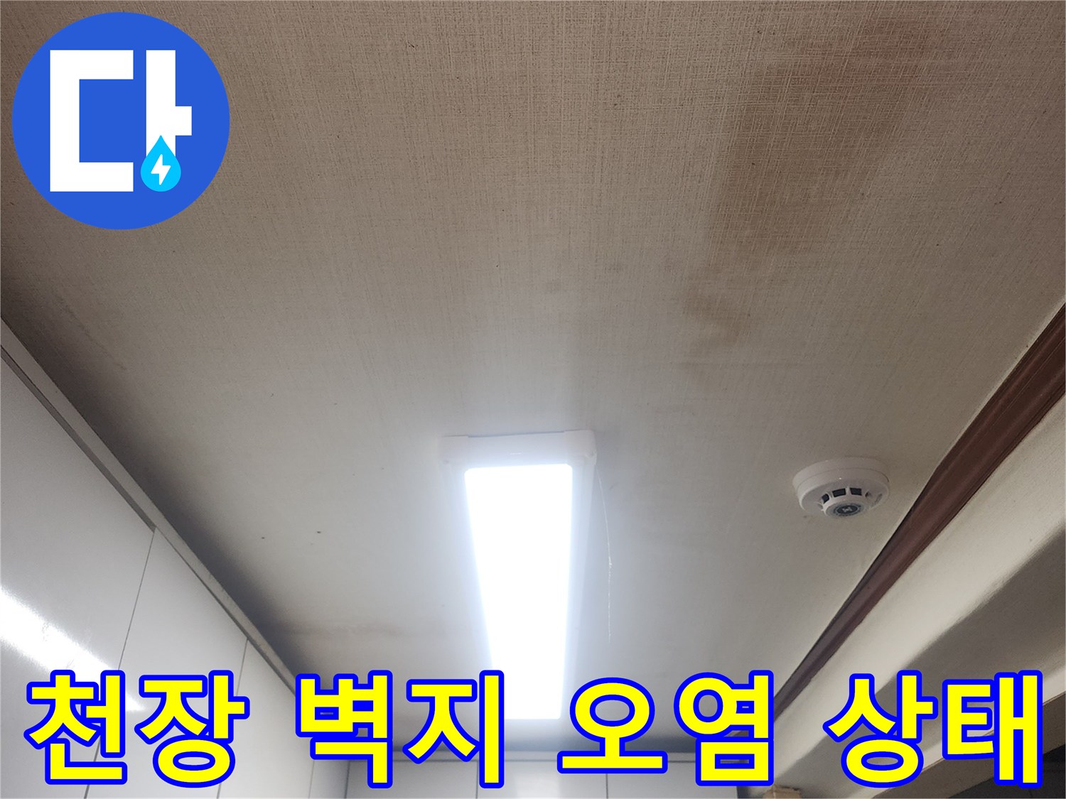 성북구 아파트 천장-벽지 변색 및 곰팡이 흔적
