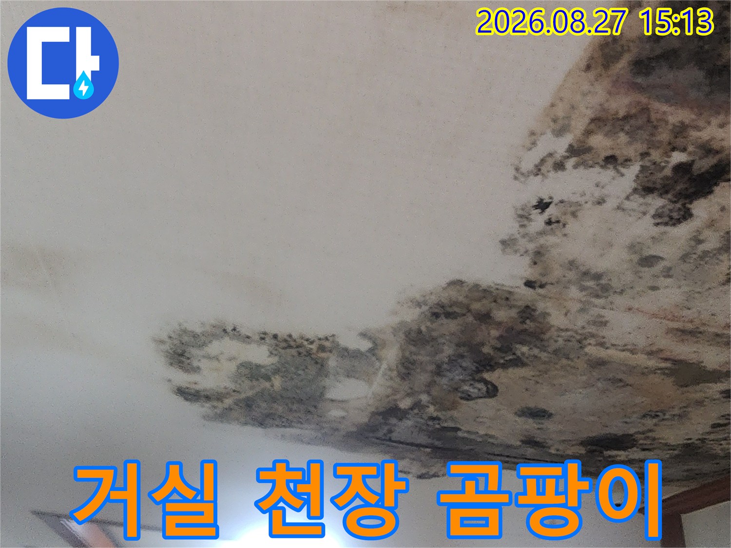 심각하게 오염된 거실 천장 벽지의 곰팡이와 누수 흔적 사진