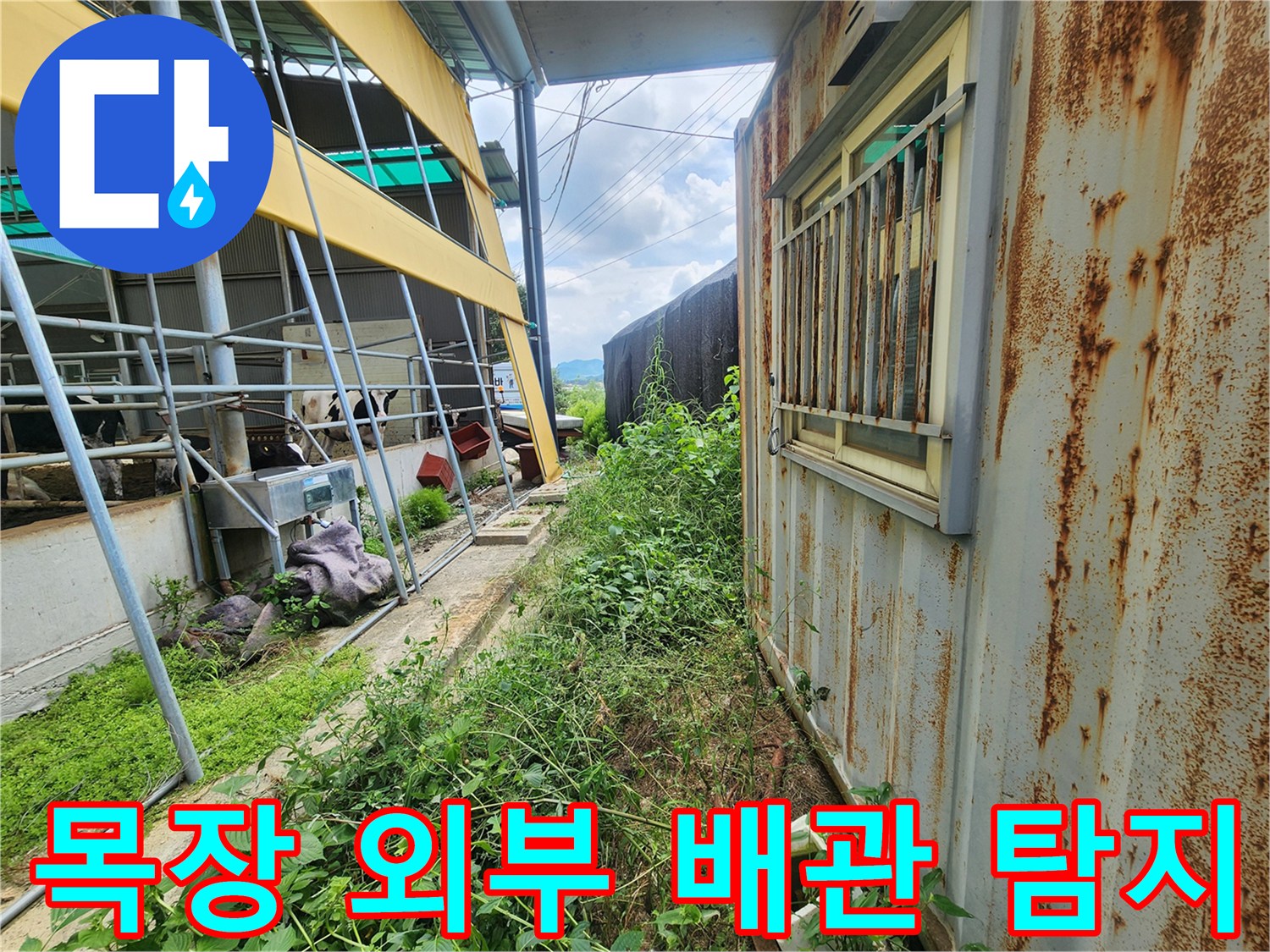 양주시 남면 목장 야외 배관 근처에서 진행되는 누수 진단 현장