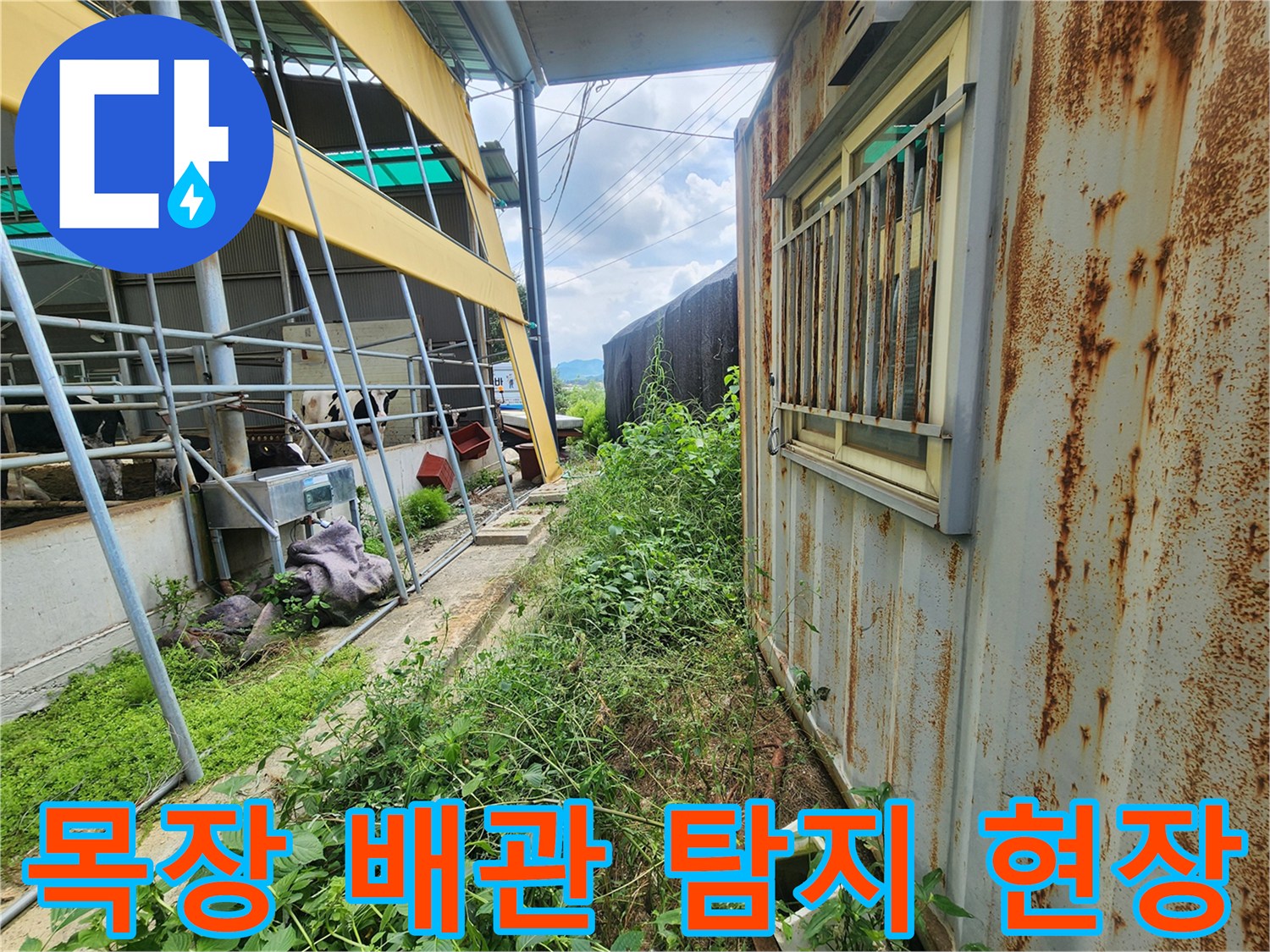 양주시 남면 목장-야외 배관 누수 지점 확인을 위한 정밀 탐지 작업 중인 모습