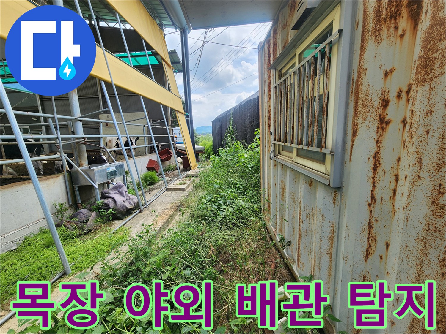 양주시 남면 목장 현장에서 진행 중인 야외 배관 누수 정밀 탐색 과정입니다.