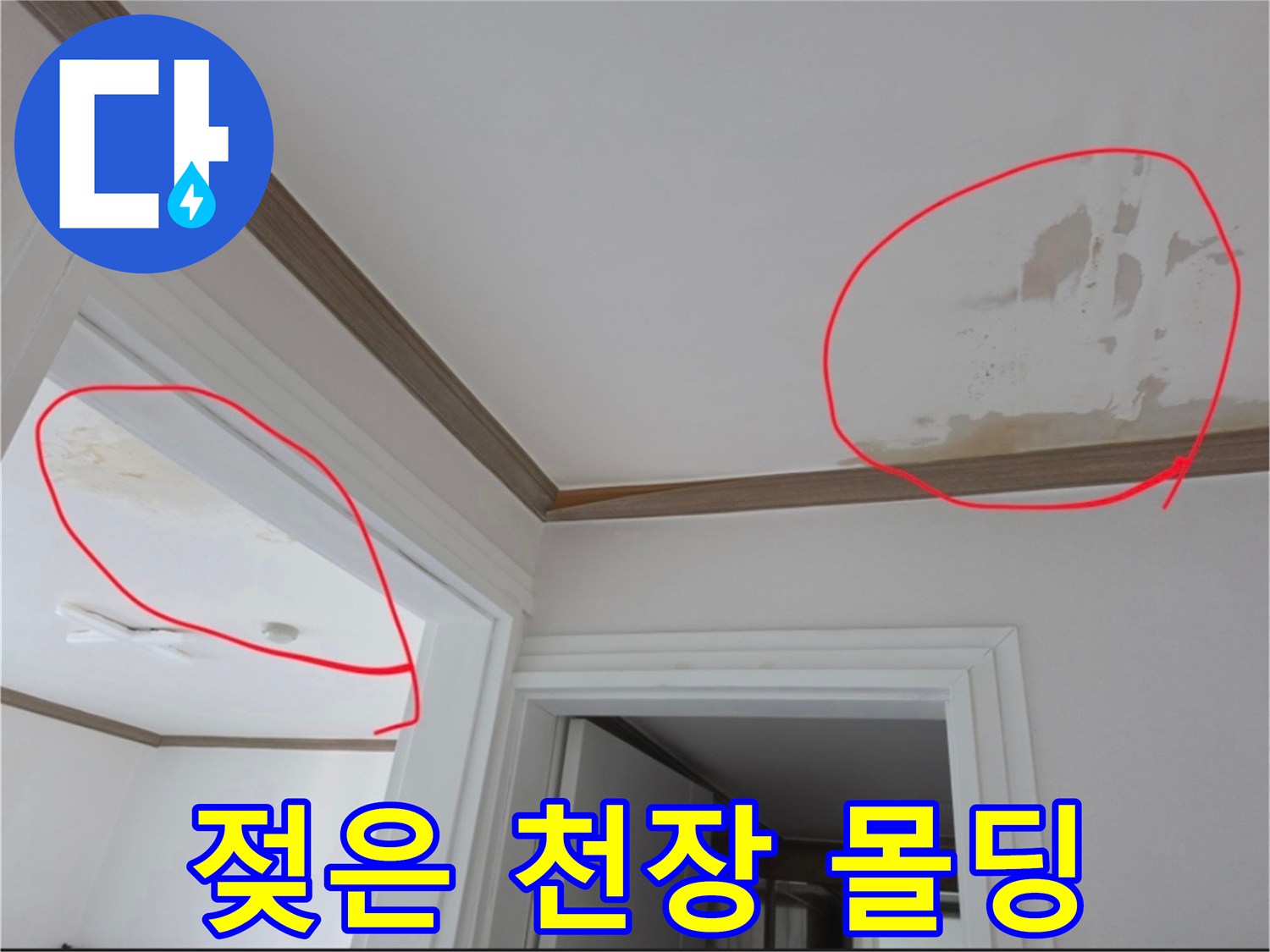 천장의 젖은 부위와 변색된 얼룩을 촬영한 사진