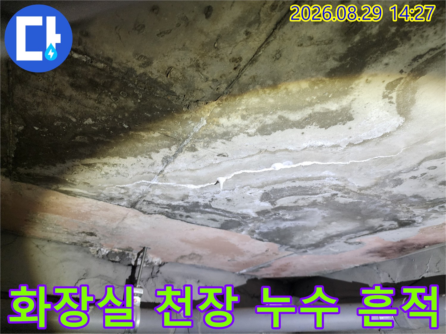 용인 수지구-물에 젖어 변색된 천장 슬라브 구조물