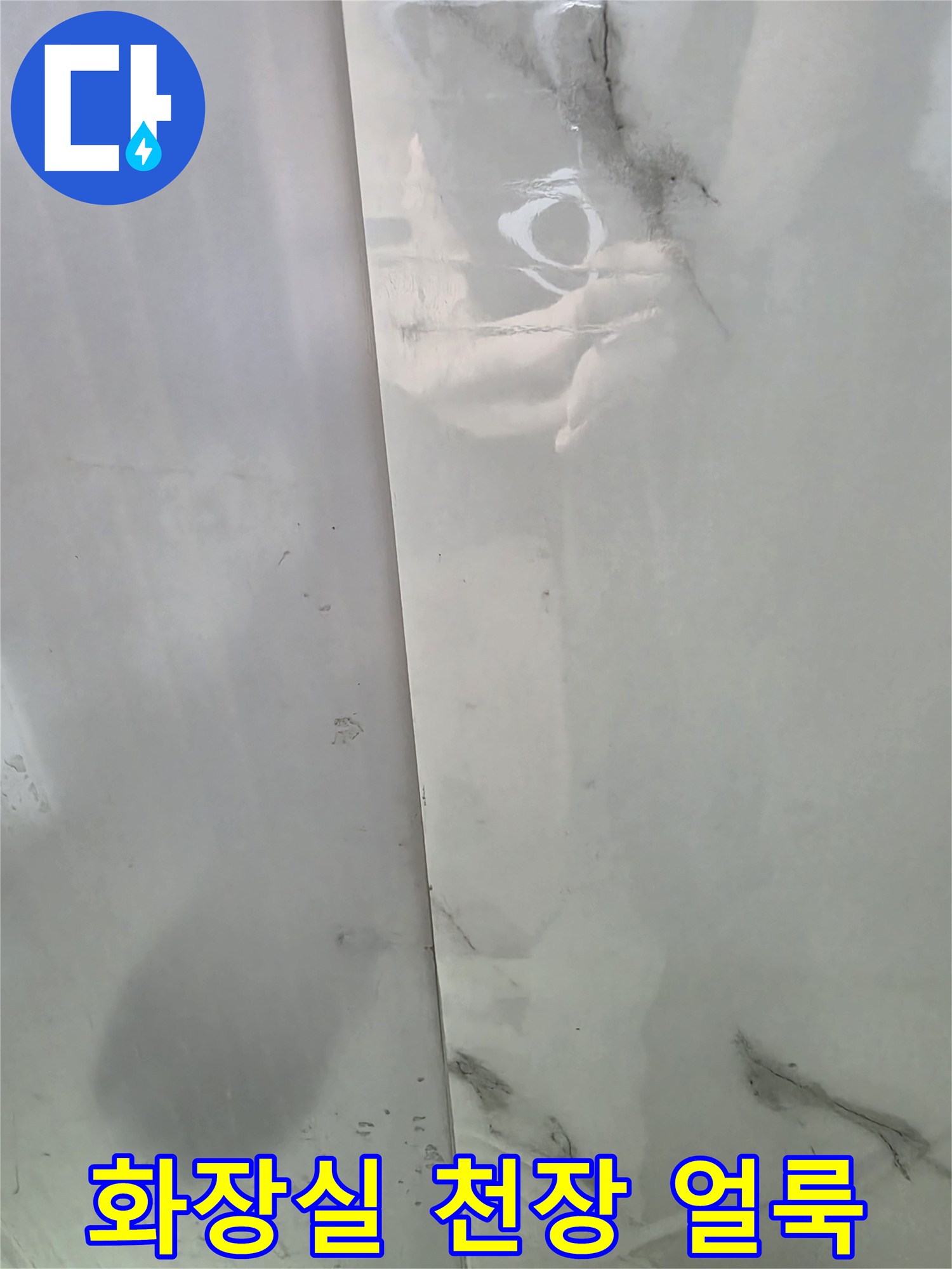 서울 중구 남산동-화장실 천장 타일의 젖은 흔적과 얼룩