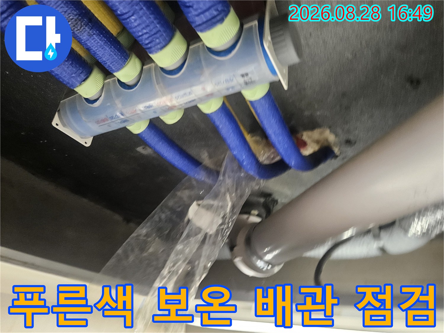 천장에 설치된 푸른색 보온재 배관과 흰색 하수관