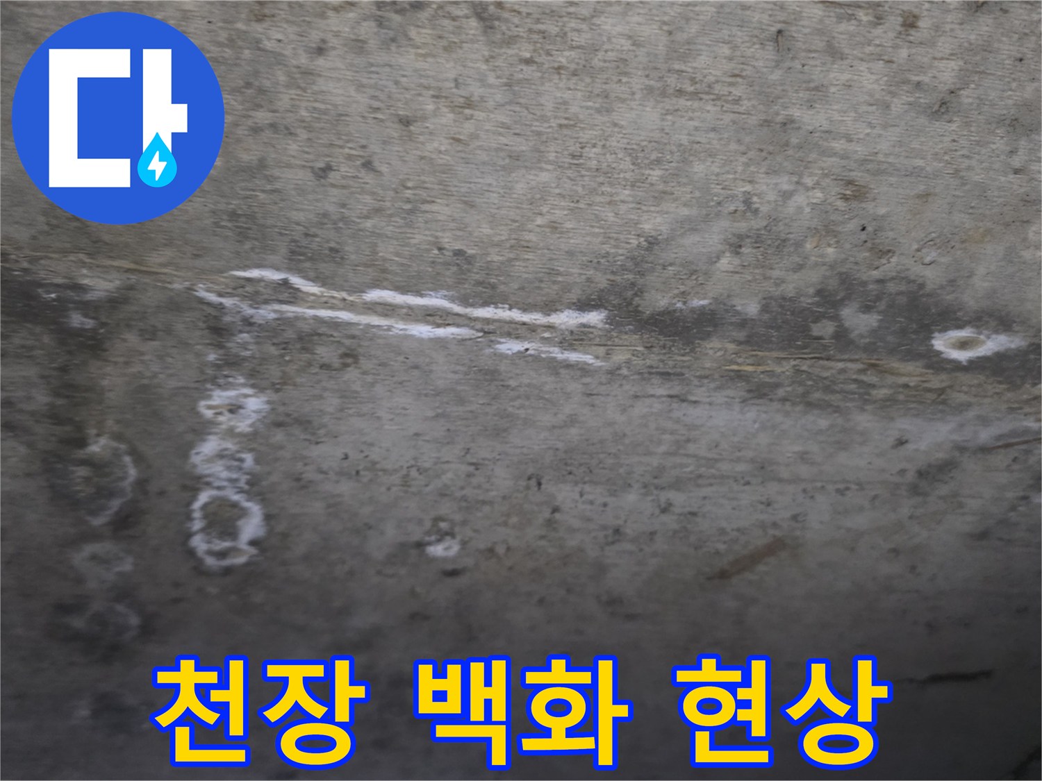 누수로 인한 하얀 얼룩이 있는 천장 콘크리트 부위