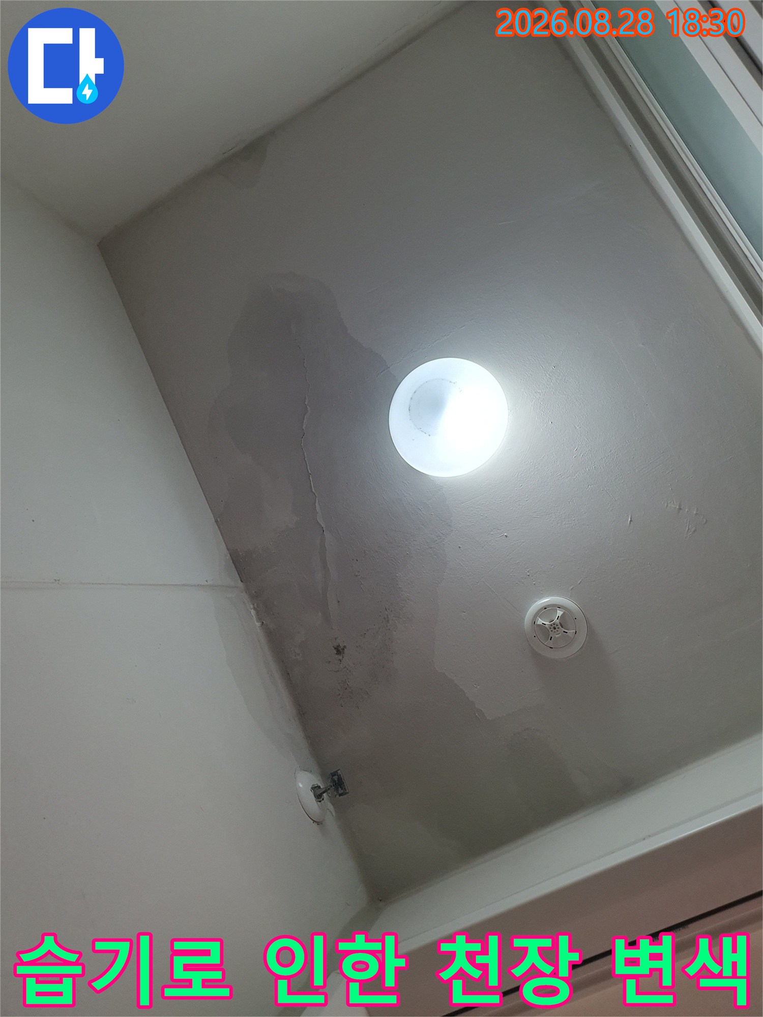 세탁실 천장-습기 침투로 인해 어둡게 변한 마감재