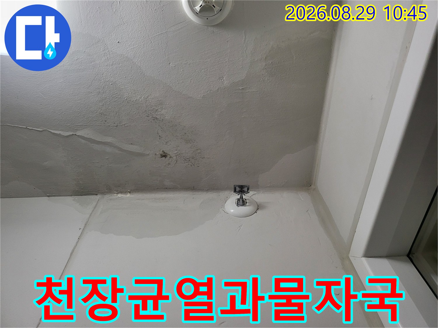 천장 마감재 사이의 균열과 그 주변으로 번진 누수 얼룩입니다.