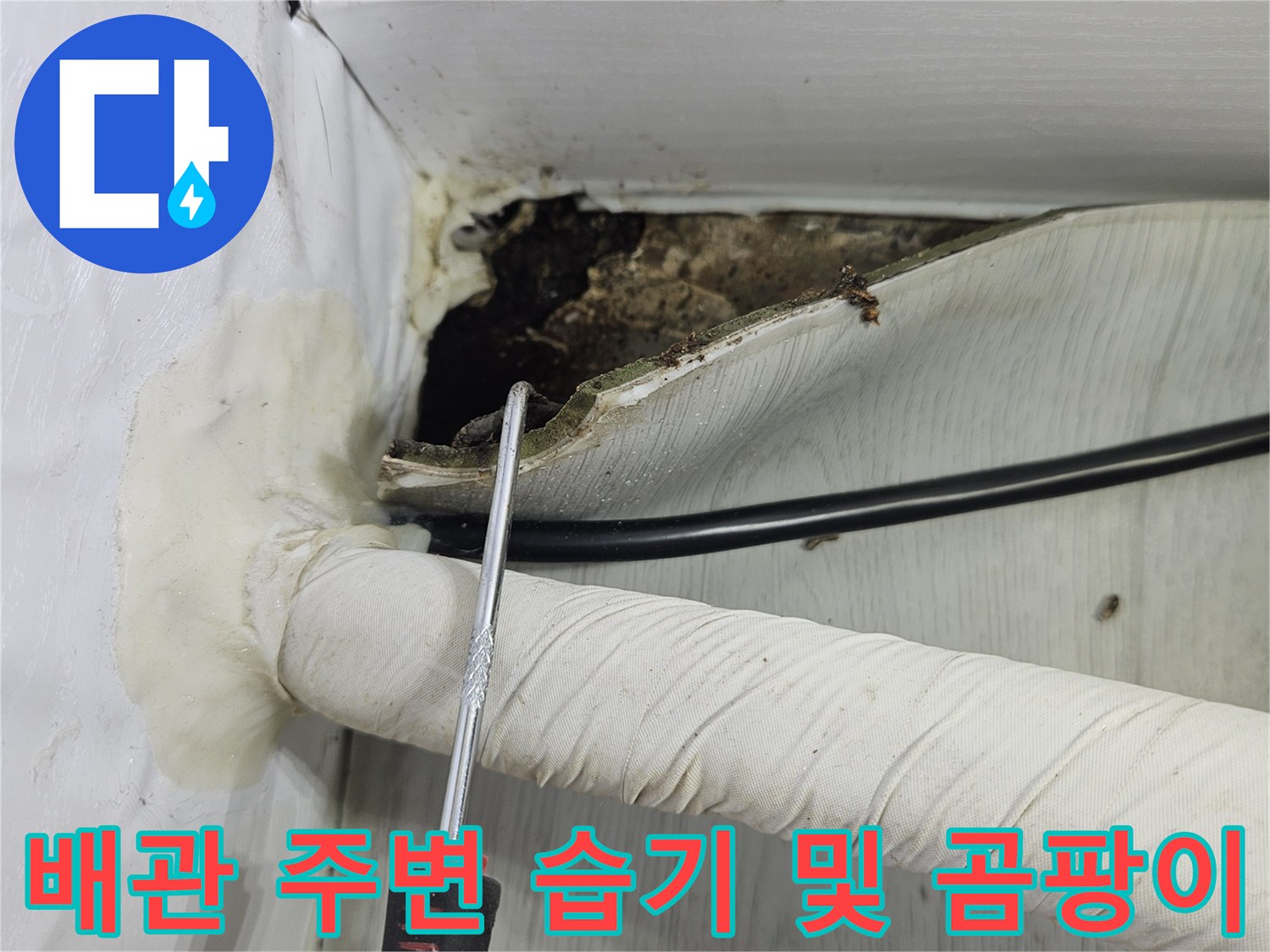 싱크대-하부-배관-주변의-곰팡이-와-습기