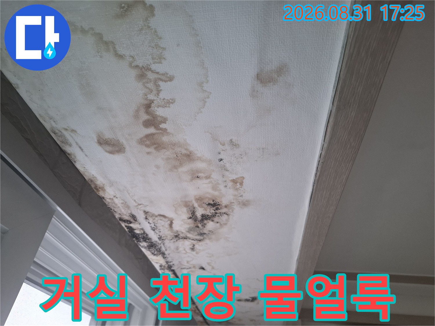 넓게 퍼진 갈색의 누수 얼룩과 곰팡이가 있는 천장 벽면