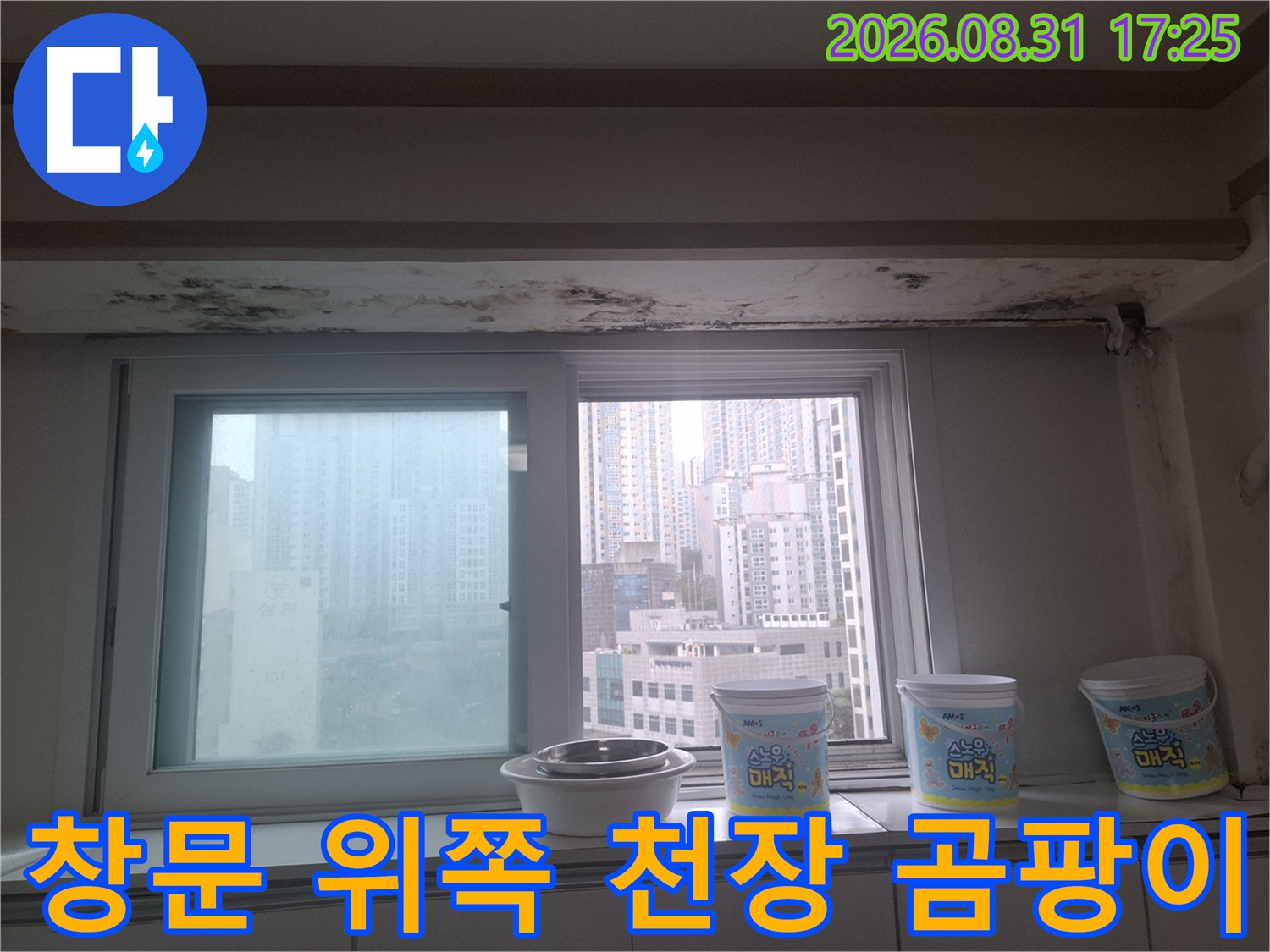마포구 아현동-창가 천장과 벽면 경계에 발생한 누수 흔적 및 곰팡이