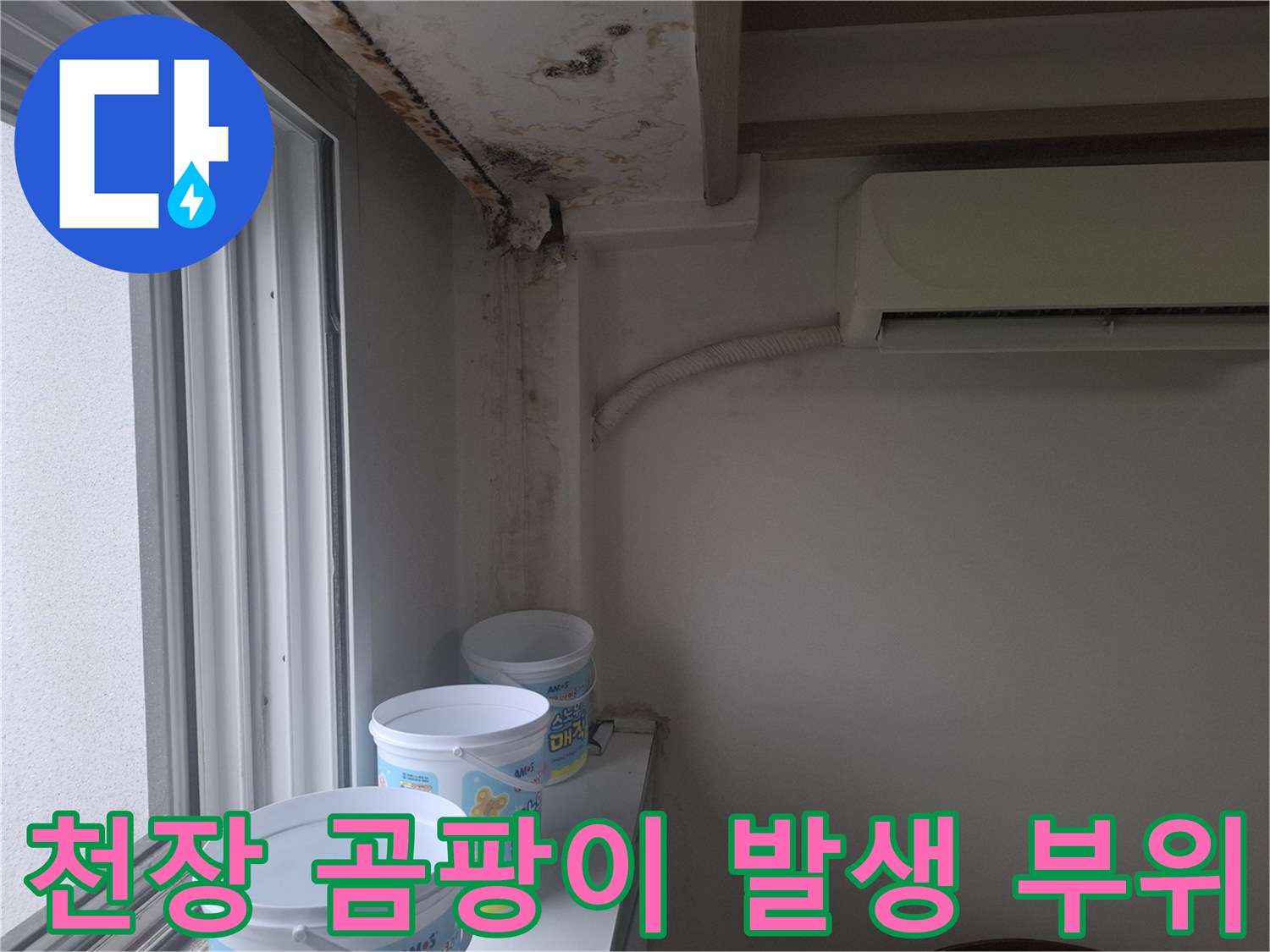 창가 천장 모서리 부분의 심한 곰팡이와 습기 침투 흔적