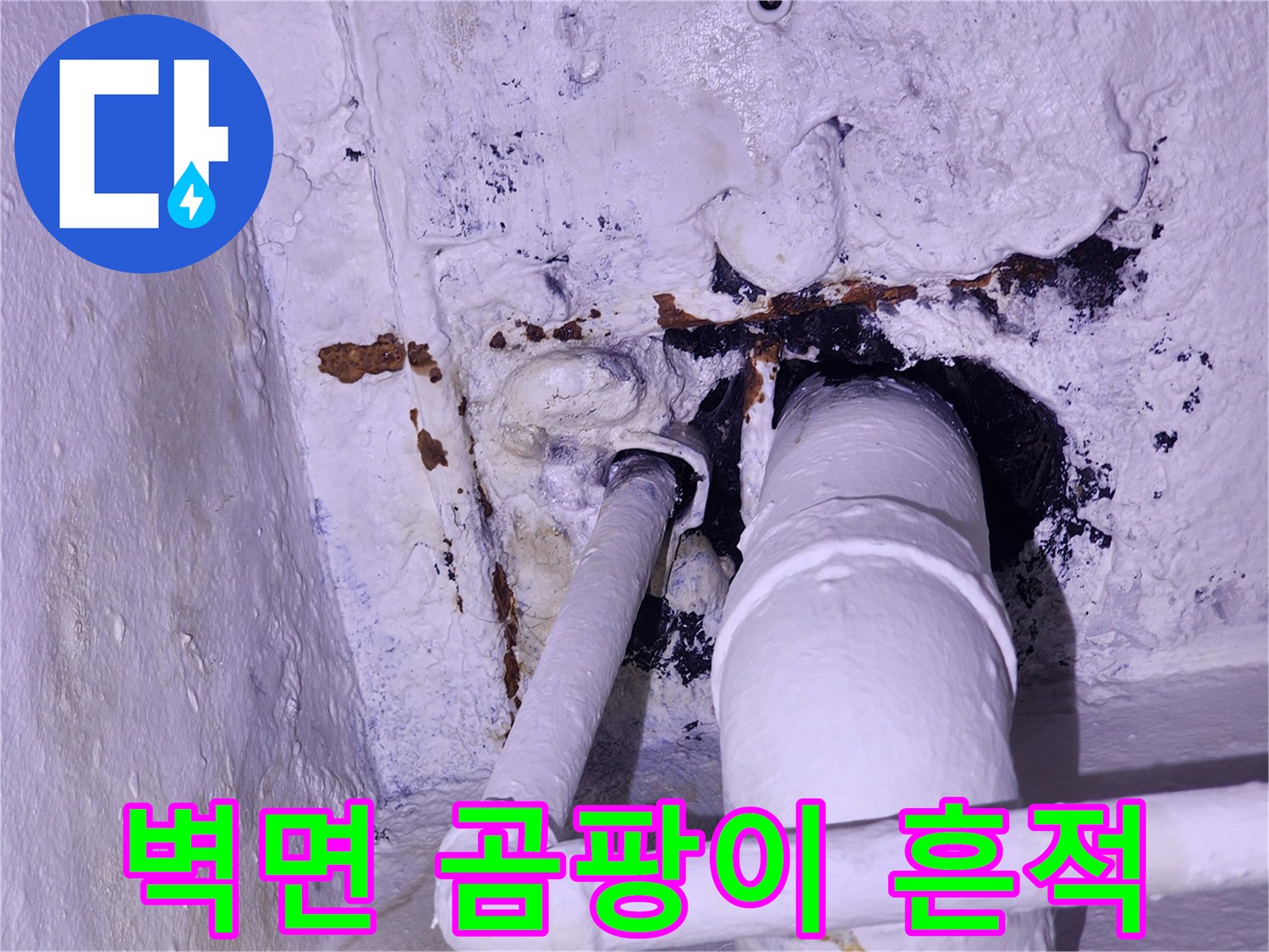 벽면 틈새-배관을 따라 발생한 검은색 곰팡이와 균열
