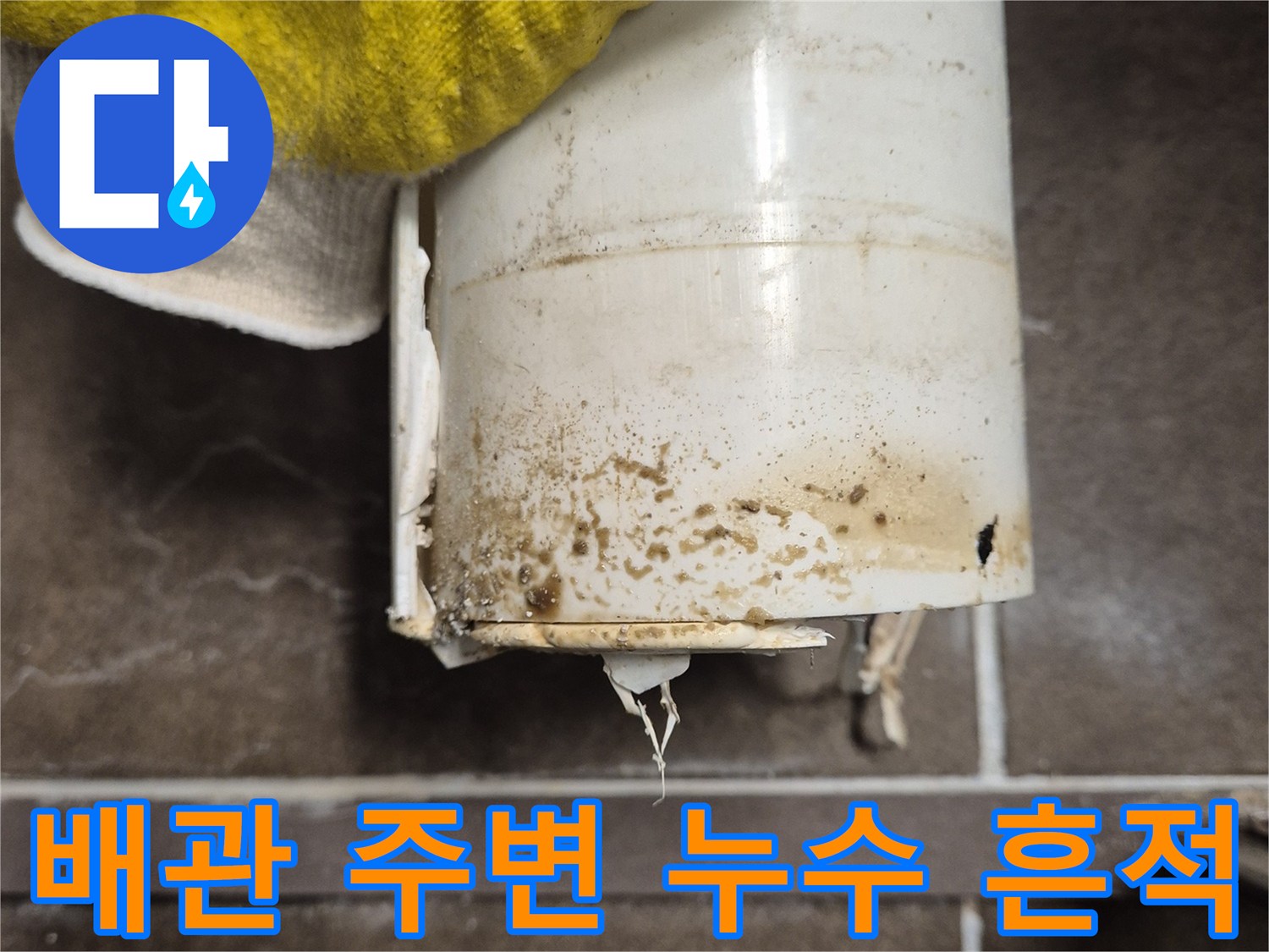 오염된 오수관 부위와 배관 연결 상태