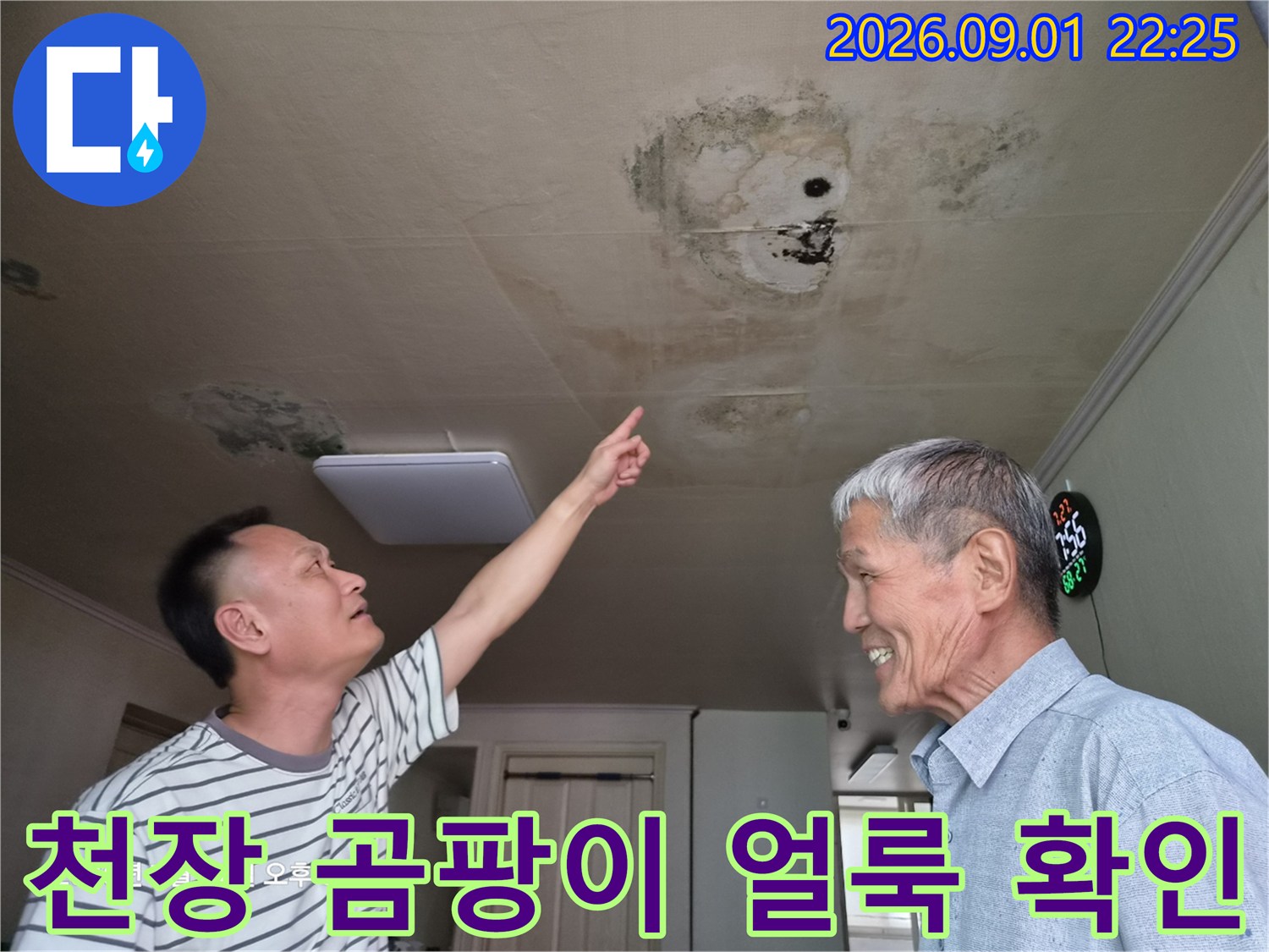 거실 천장의 누수 흔적과 넓게 퍼진 곰팡이 부위