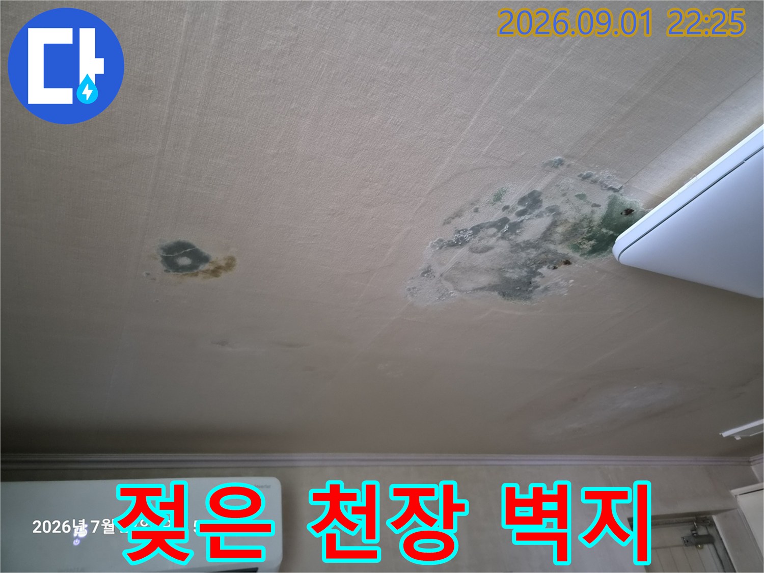 습기로 인해 변색되고 곰팡이가 발생한 거실 천장
